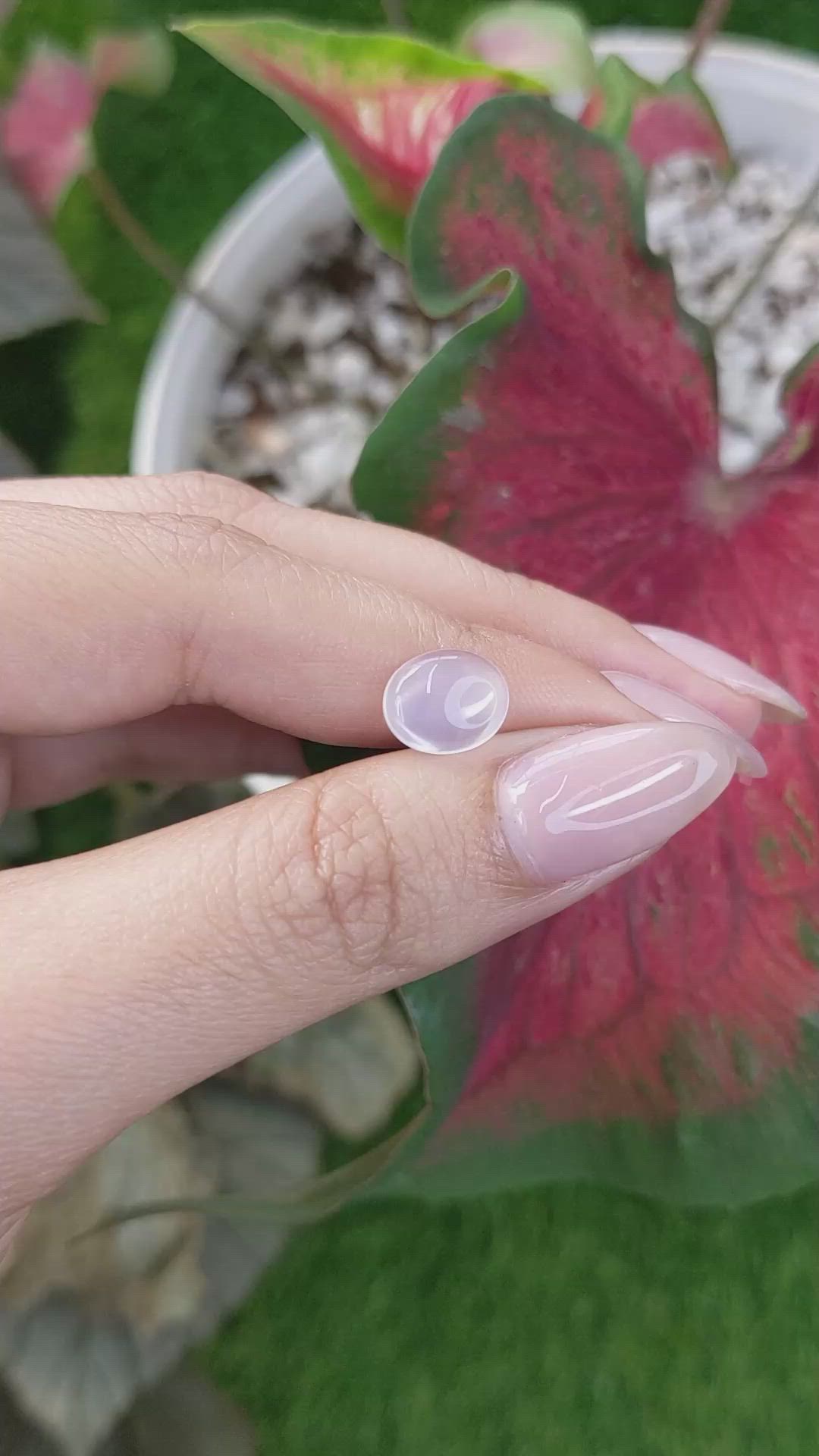 2.08 Ct. Cabochon Moonstone from Ceylon (Sri Lanka) Size Video