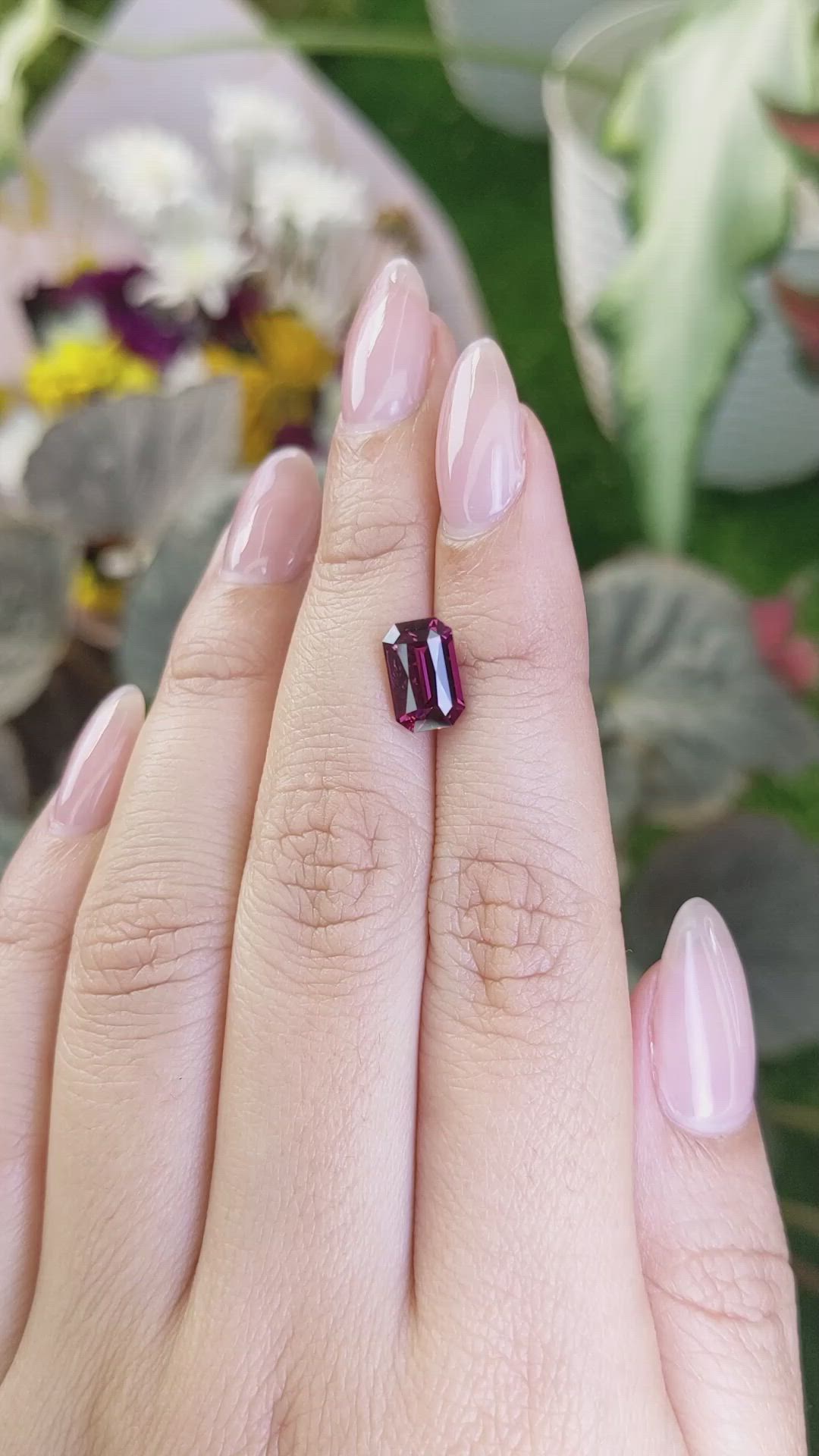 2.69 Ct. Rhodolite Garnet from Ceylon (Sri Lanka) Size Video