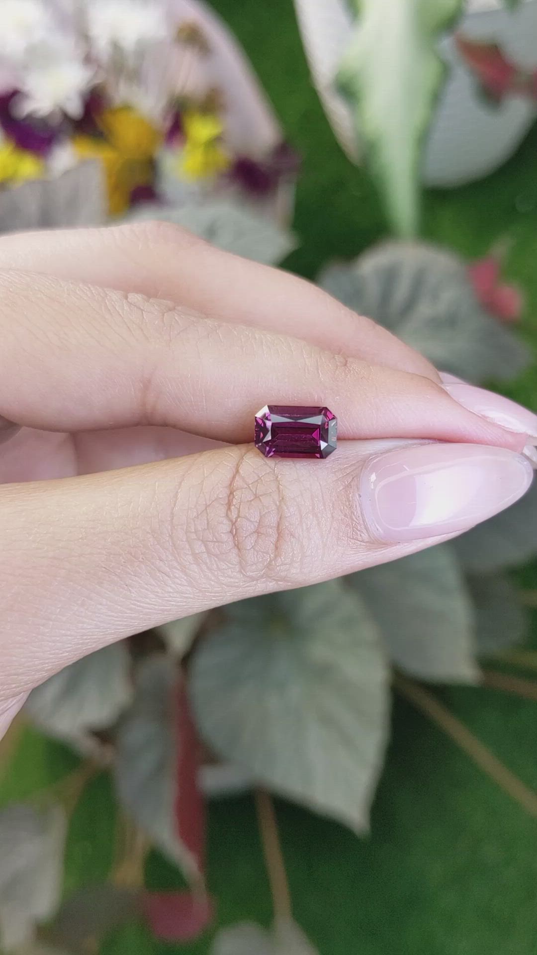 2.69 Ct. Rhodolite Garnet from Ceylon (Sri Lanka) Size Video