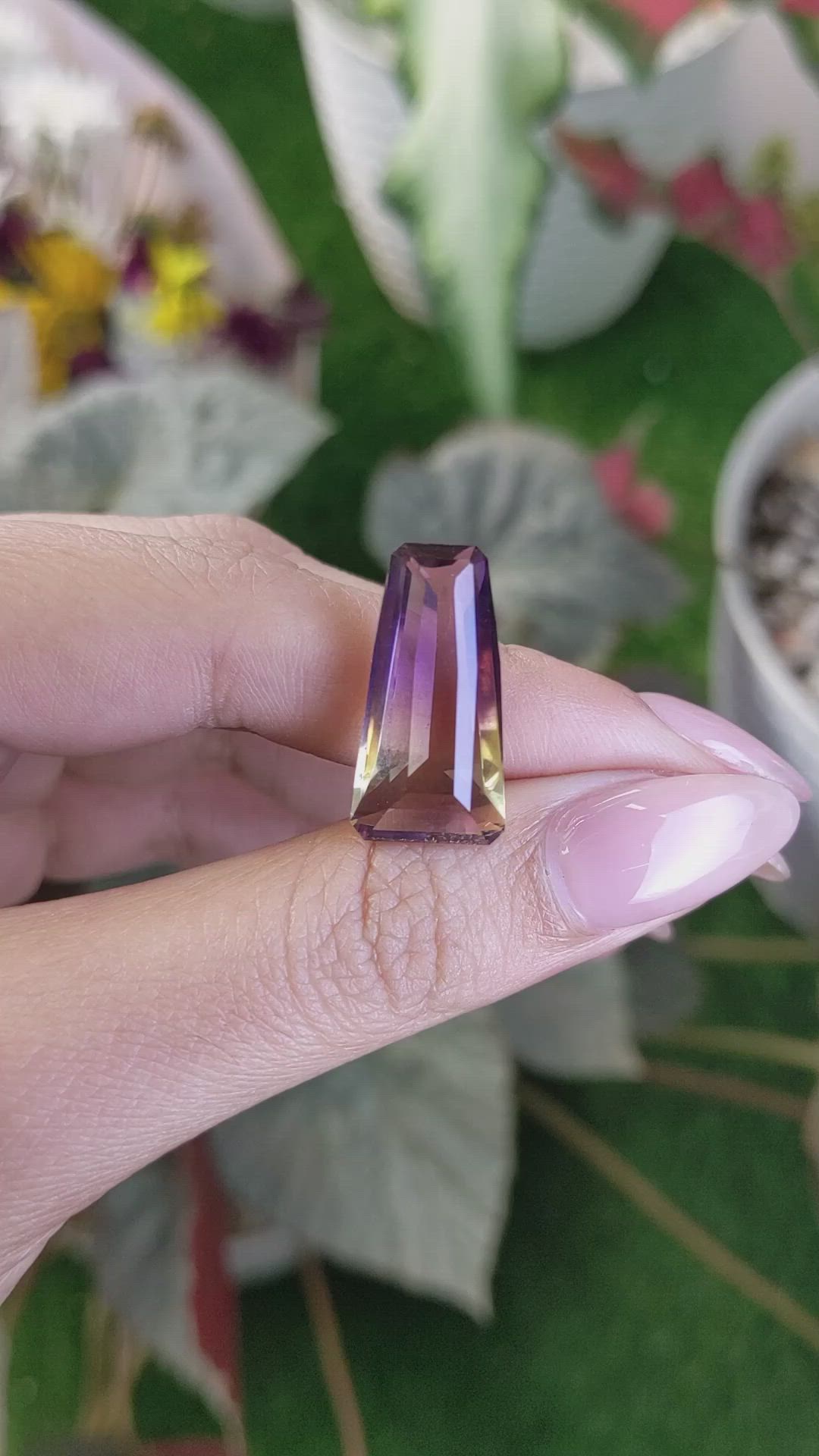 13.24 Ct. Ametrine from Ceylon (Sri Lanka) Size Video