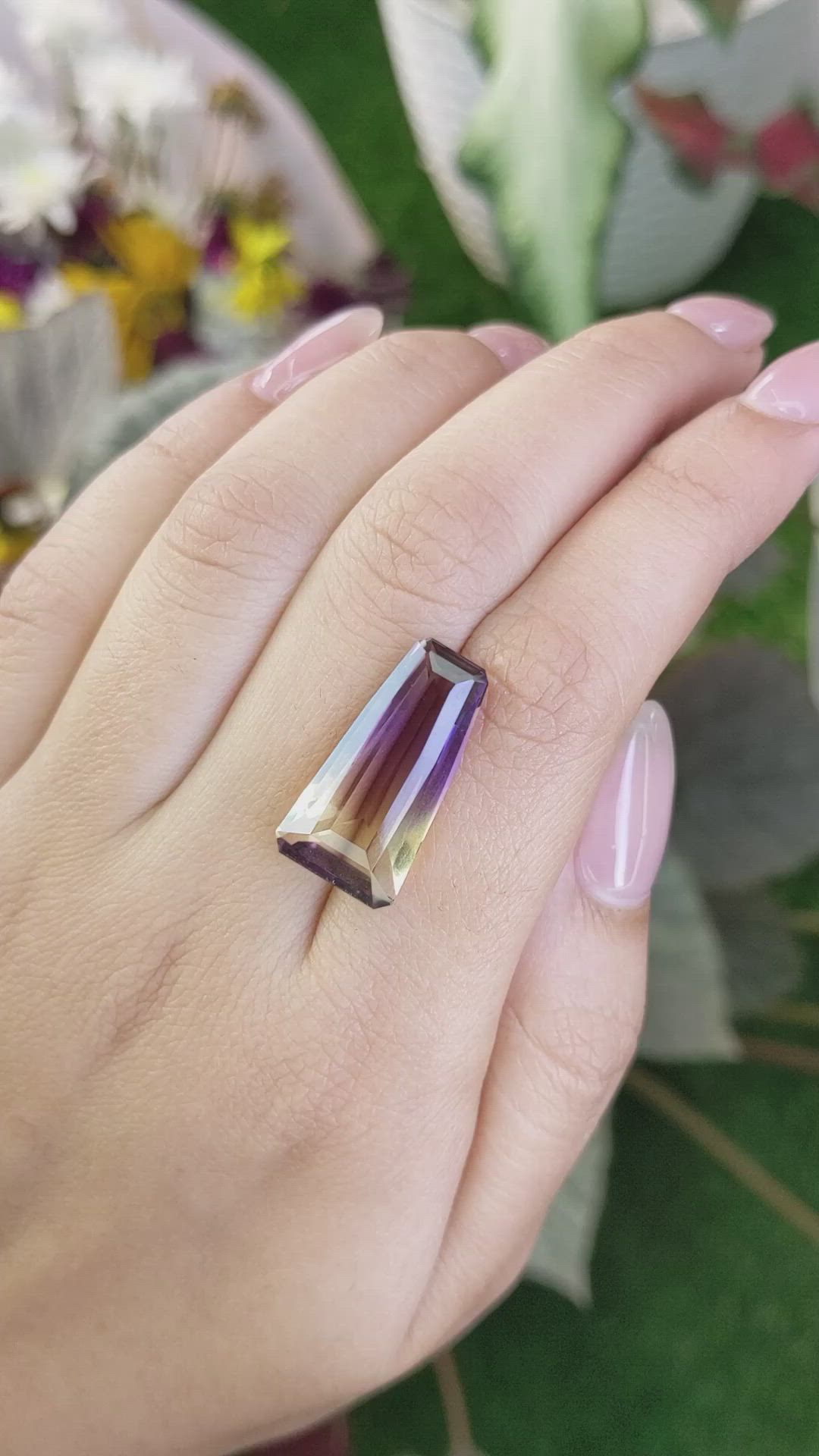 13.24 Ct. Ametrine from Ceylon (Sri Lanka) Size Video