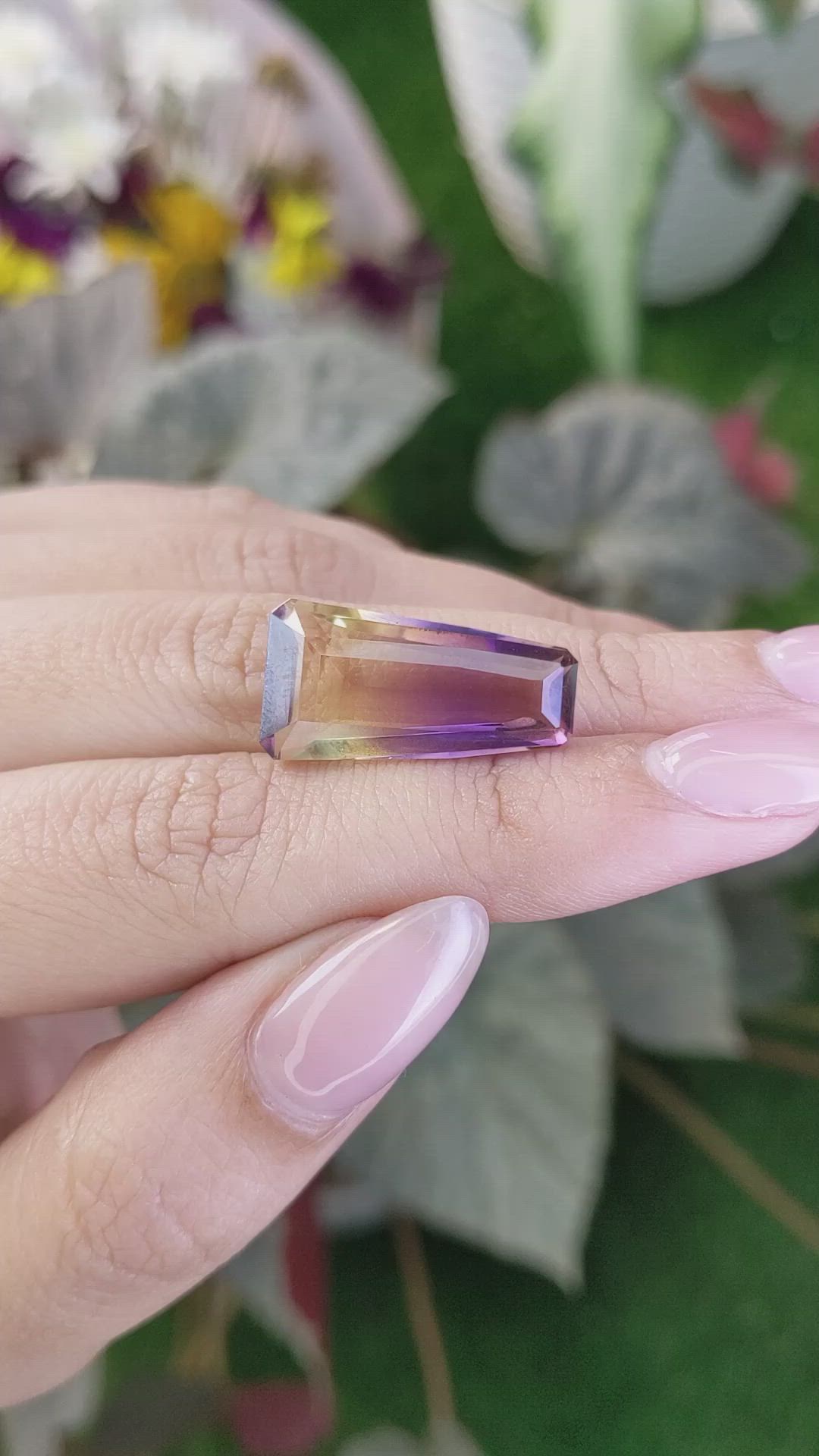 13.24 Ct. Ametrine from Ceylon (Sri Lanka) Size Video