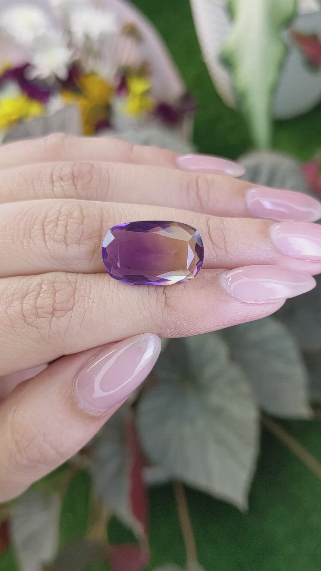 9.79 Ct. Ametrine from Ceylon (Sri Lanka) Size Video