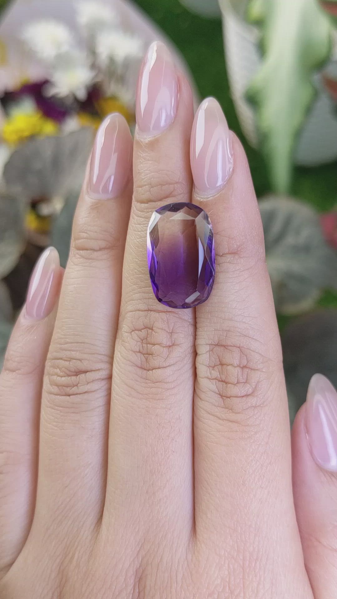 9.79 Ct. Ametrine from Ceylon (Sri Lanka) Size Video