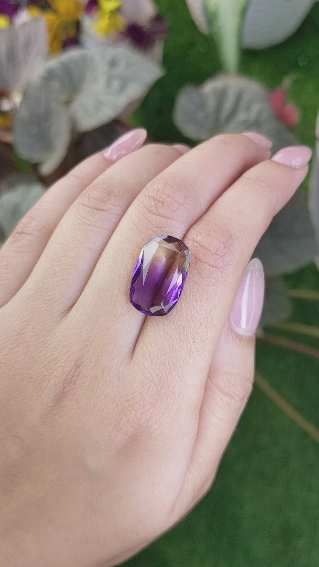 9.79 Ct. Ametrine from Ceylon (Sri Lanka) Size Video