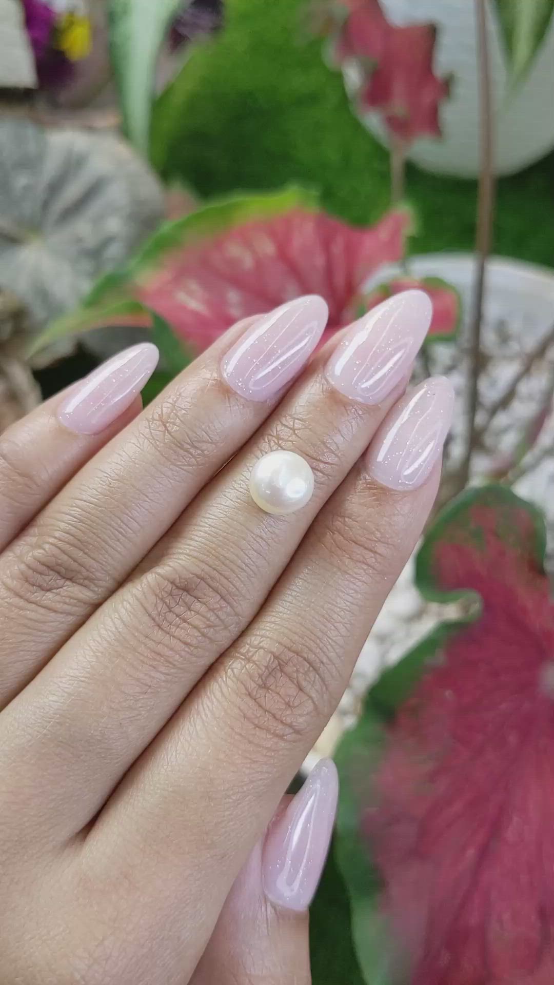 3.28 Ct. Cream with Gold Overtone South Sea Pearl from Australia Size Video