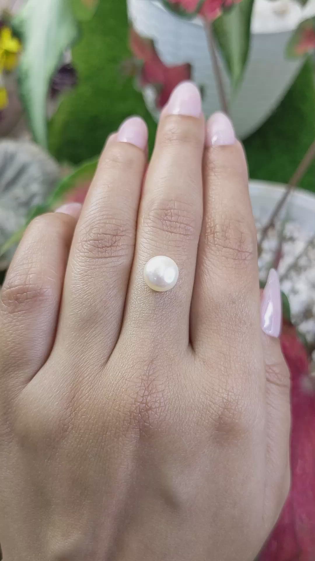 3.28 Ct. Cream with Gold Overtone South Sea Pearl from Australia Size Video