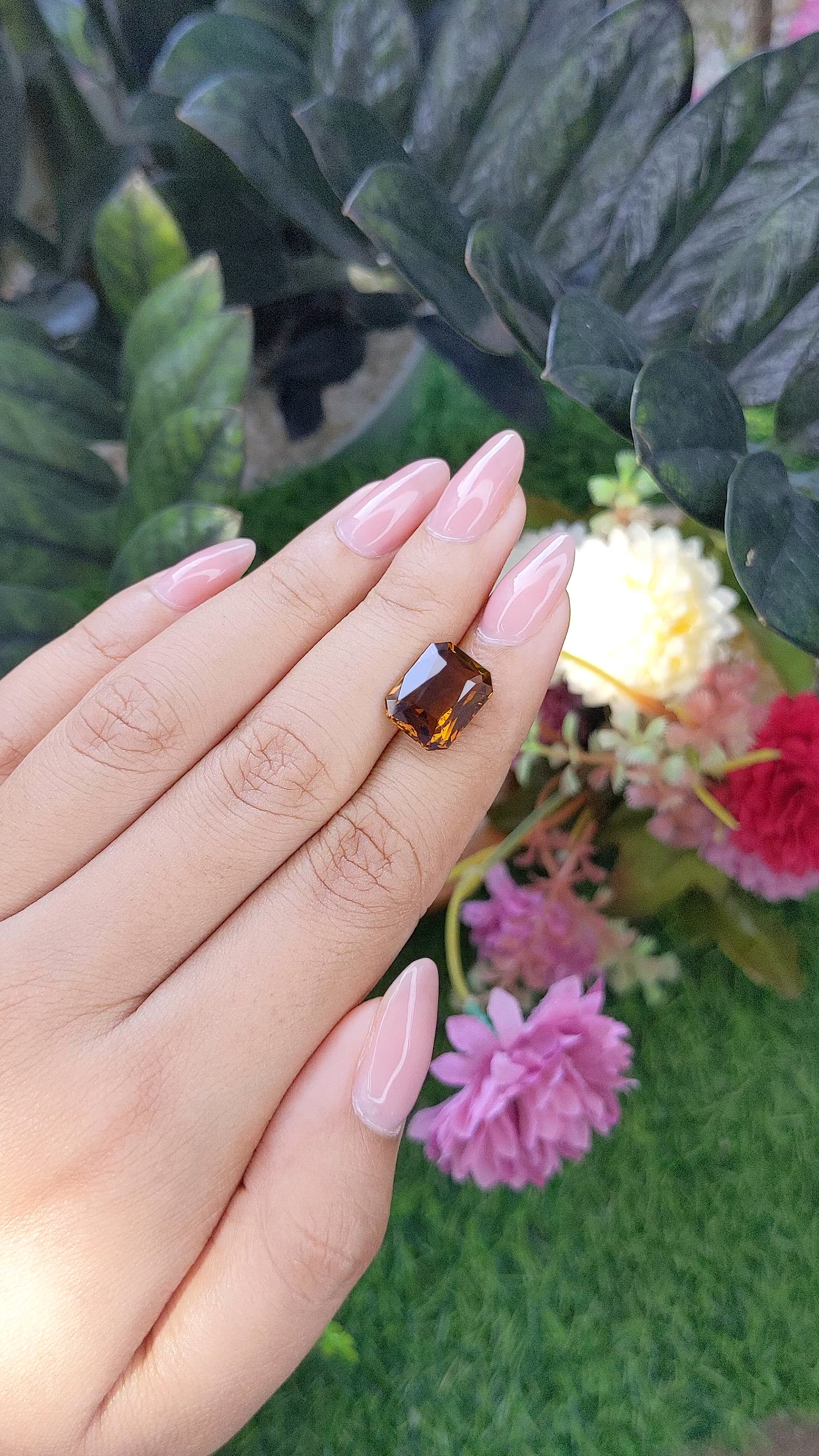 5.42 Ct. Brownish Orange Tourmaline from Ceylon (Sri Lanka) Size Video