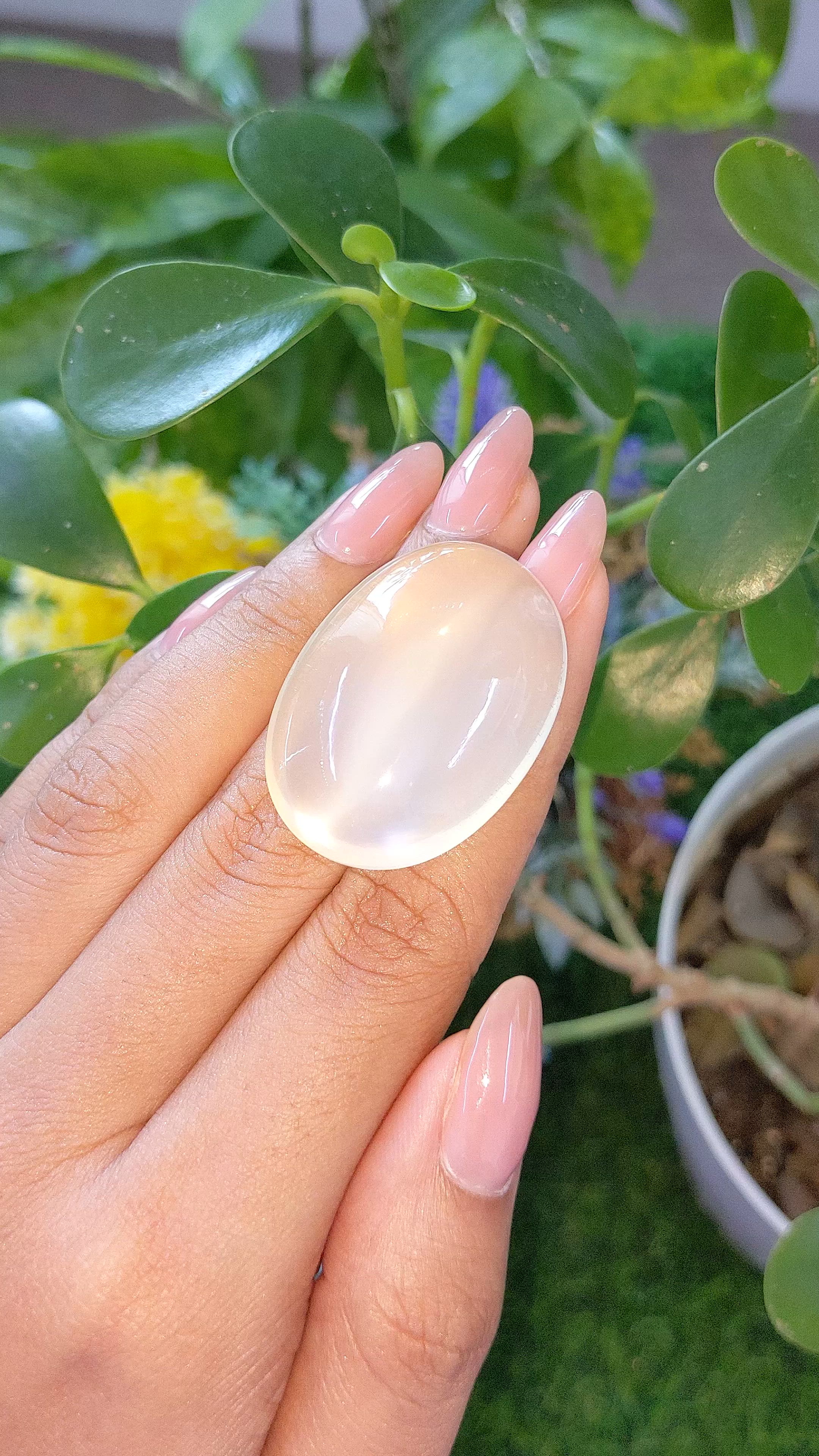 70.57 Ct. Yellow Cabochon Moonstone from Ceylon (Sri Lanka) Size Video