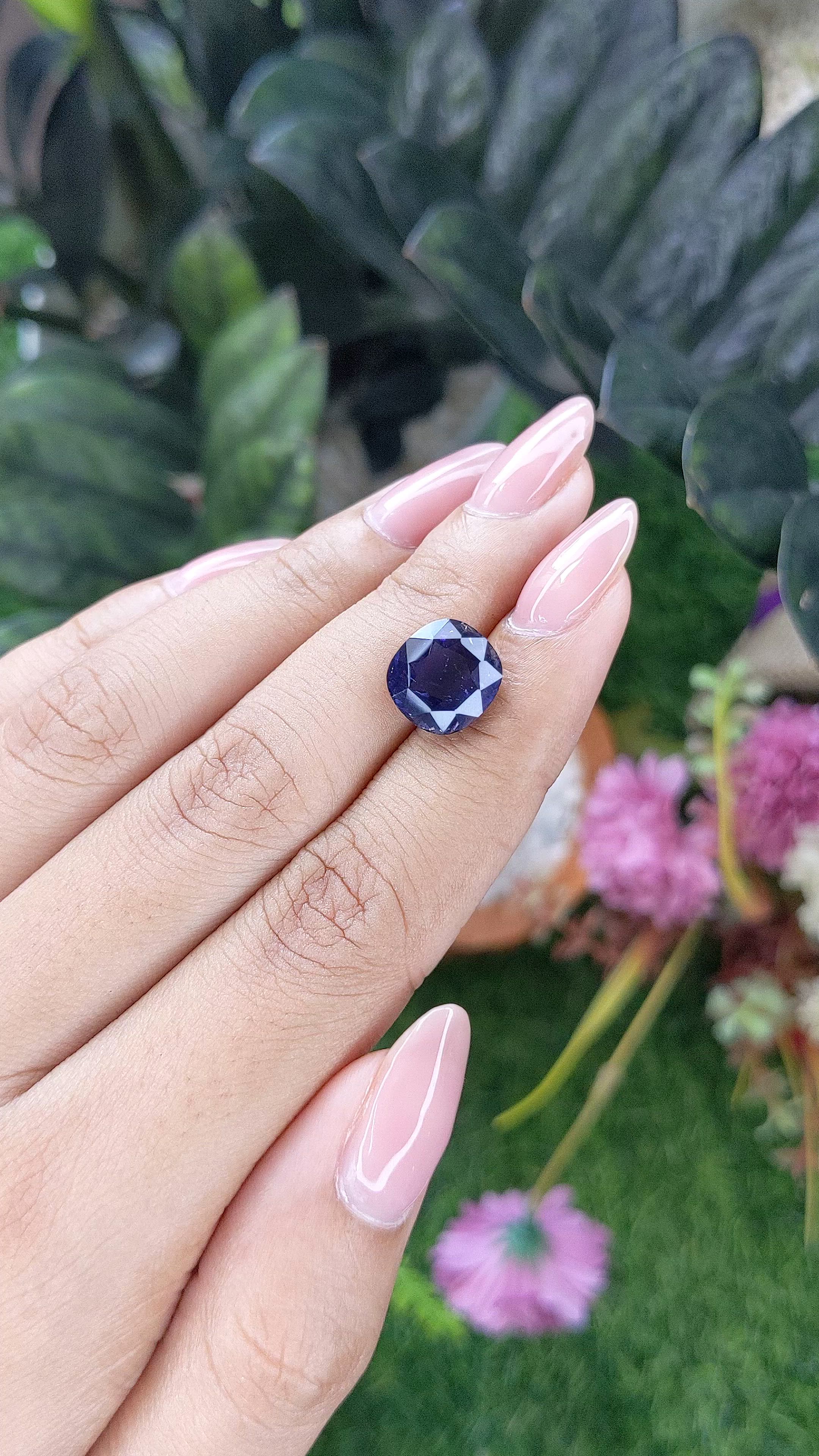 3.79 Ct. Bluish Purple Iolite from Ceylon (Sri Lanka) Size Video