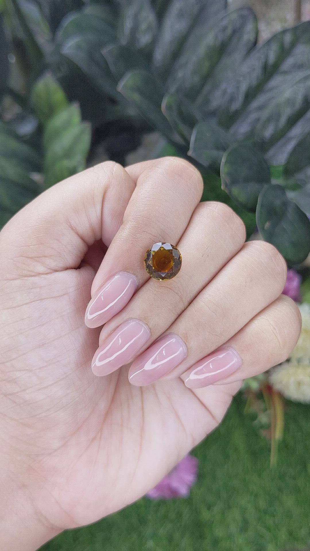 2.99 Ct. Brown Tourmaline from Ceylon (Sri Lanka) Size Video
