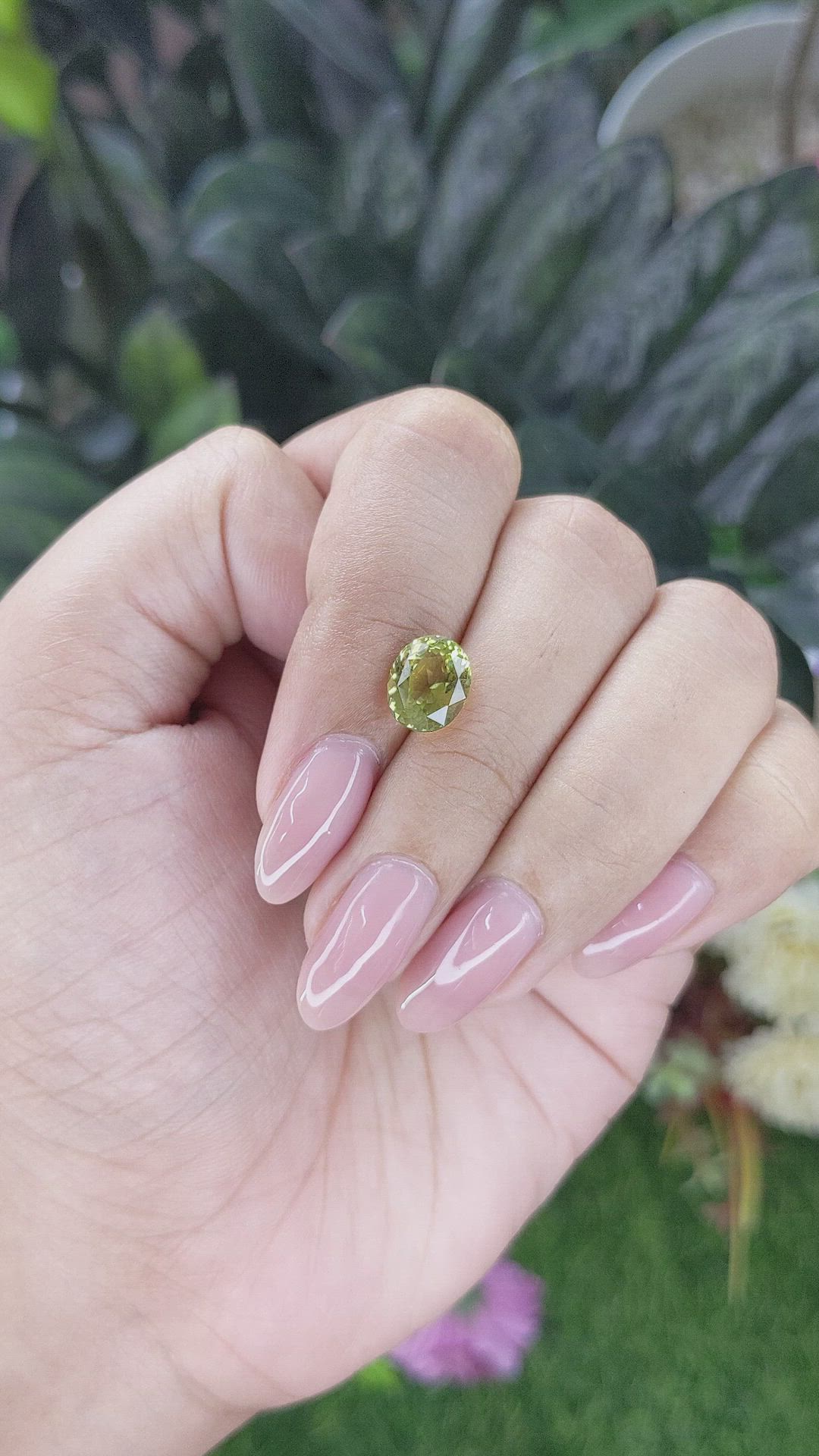 2.18 Ct. Yellowish Green Tourmaline from Ceylon (Sri Lanka) Size Video