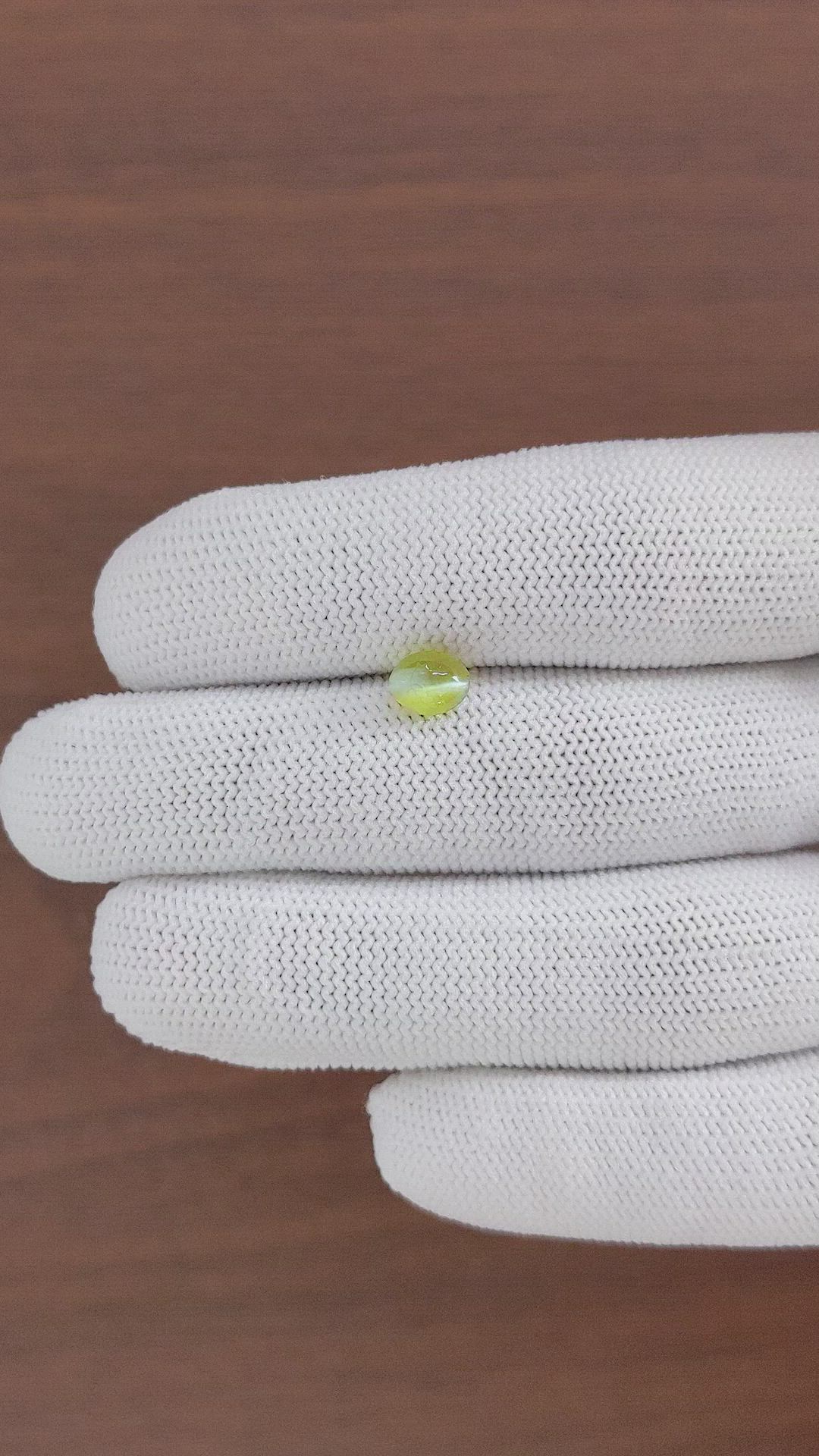 1.67 Ct. Yellowish Green Cabochon Chrysoberyl from Ceylon (Sri Lanka) Size Video