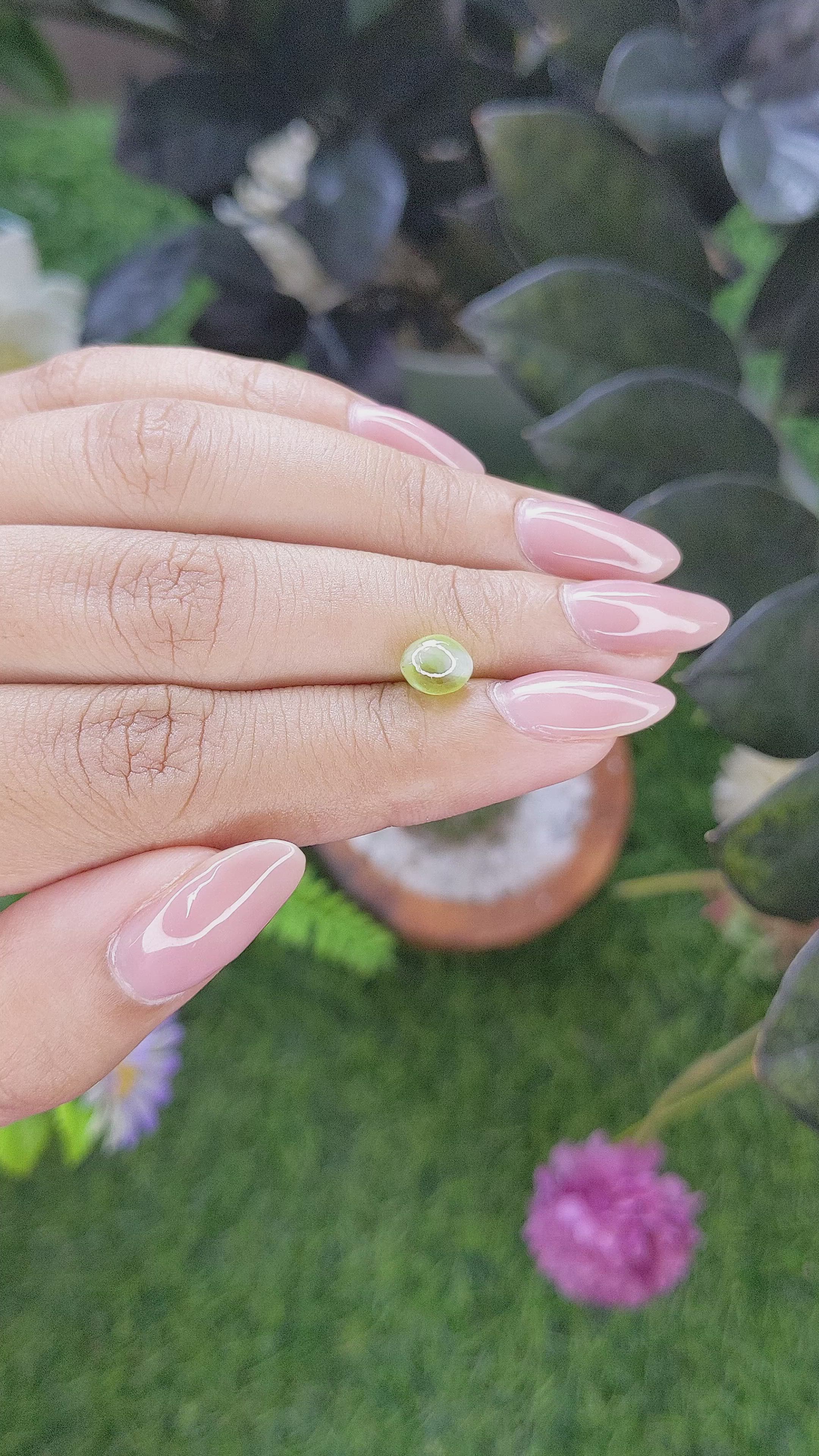 1.67 Ct. Yellowish Green Cabochon Chrysoberyl from Ceylon (Sri Lanka) Size Video