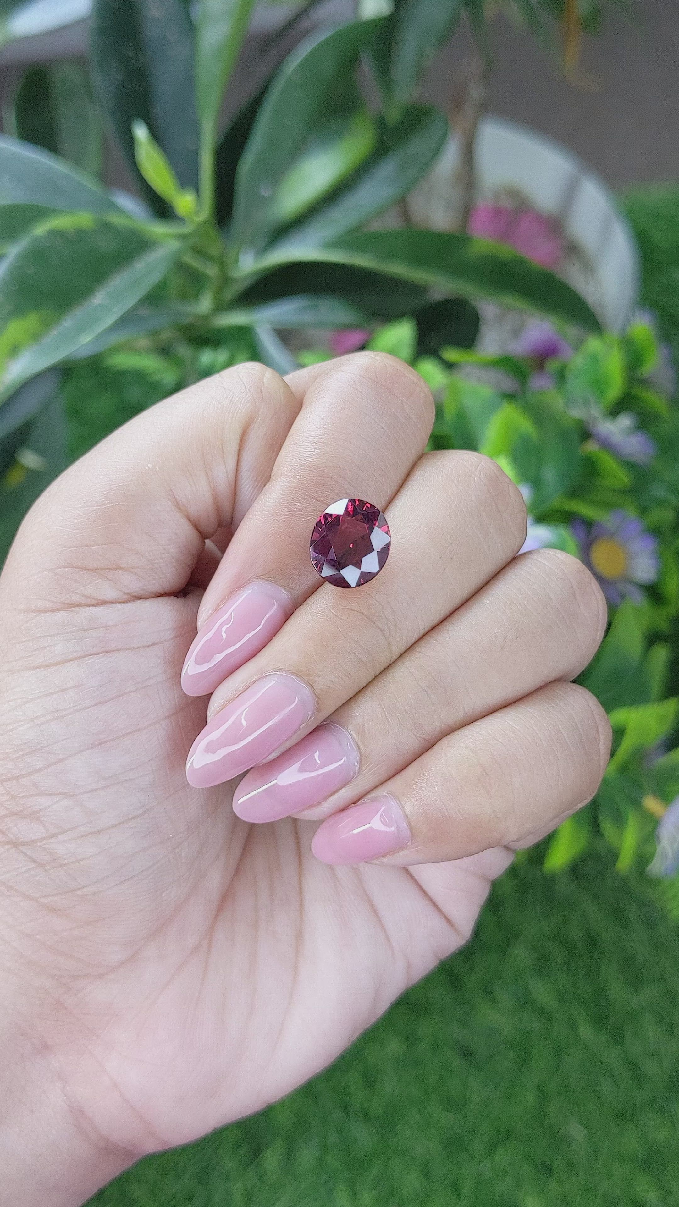 5.45 Ct. Red Garnet from Ceylon (Sri Lanka) Size Video