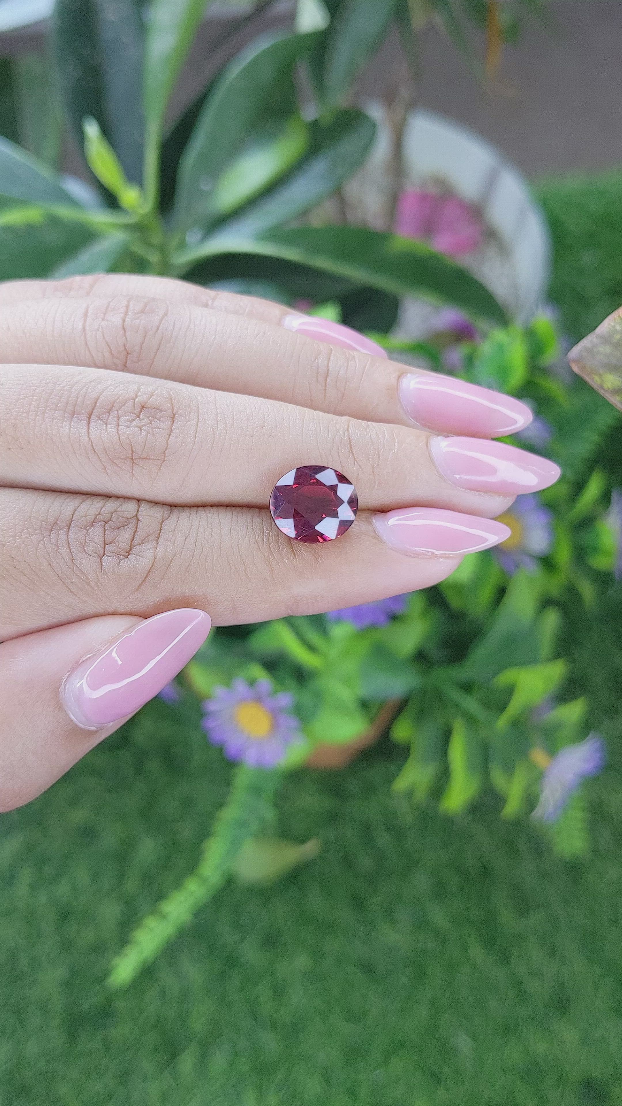 5.45 Ct. Red Garnet from Ceylon (Sri Lanka) Size Video