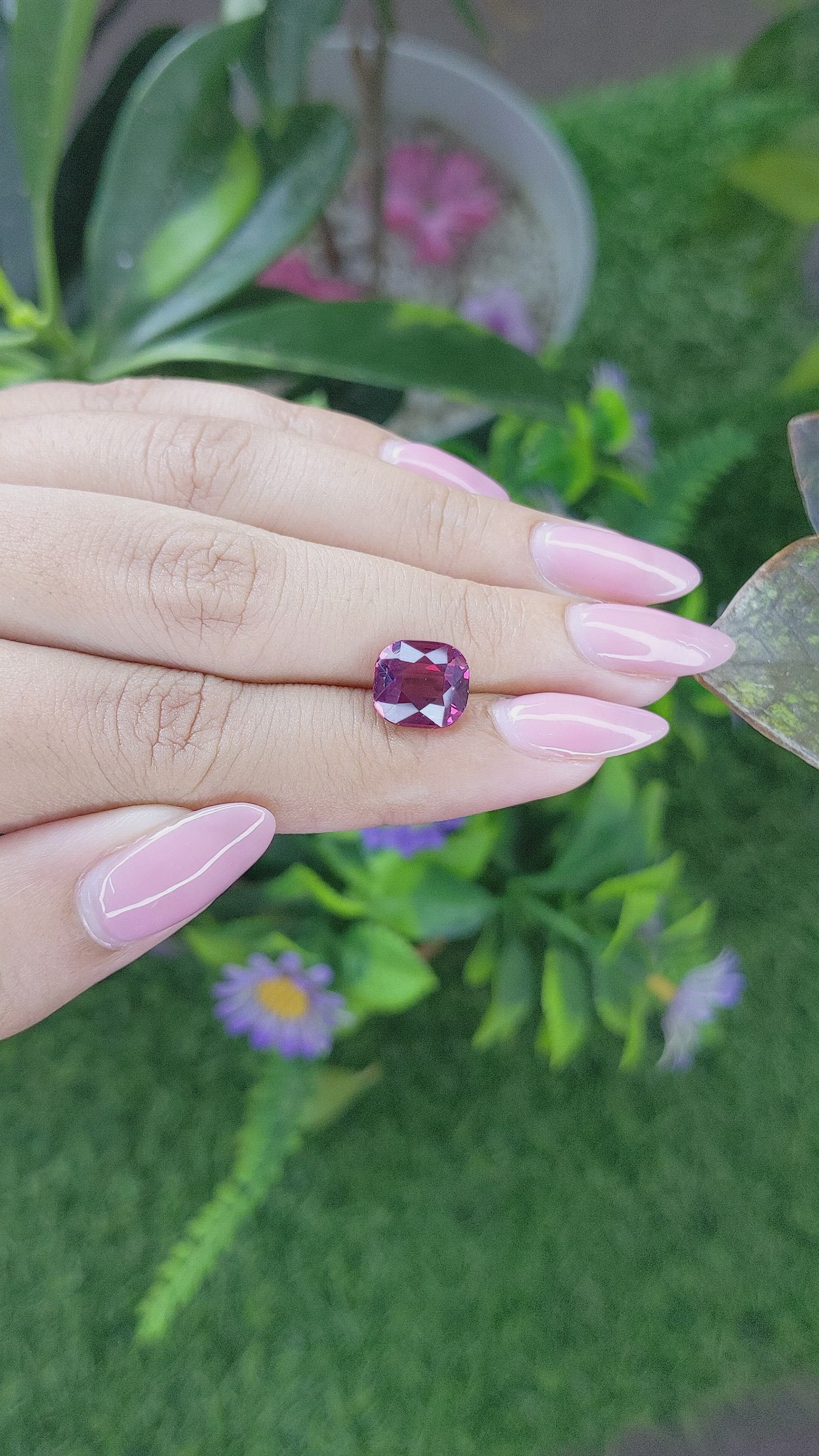 4.34 Ct. Purplish Pink Garnet from Ceylon (Sri Lanka) Size Video