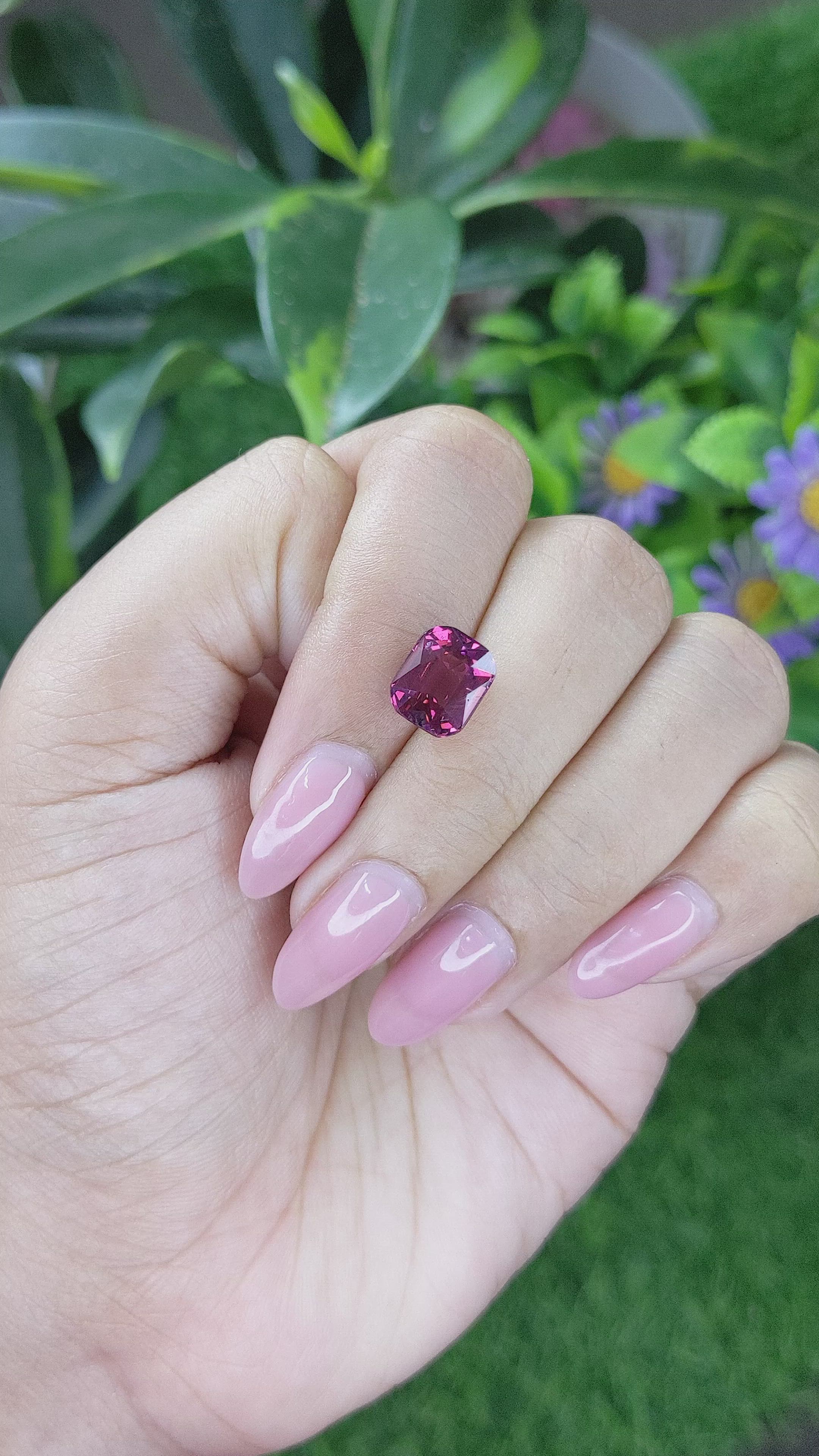 4.27 Ct. Purplish Pink Rhodolite Garnet from Ceylon (Sri Lanka) Size Video