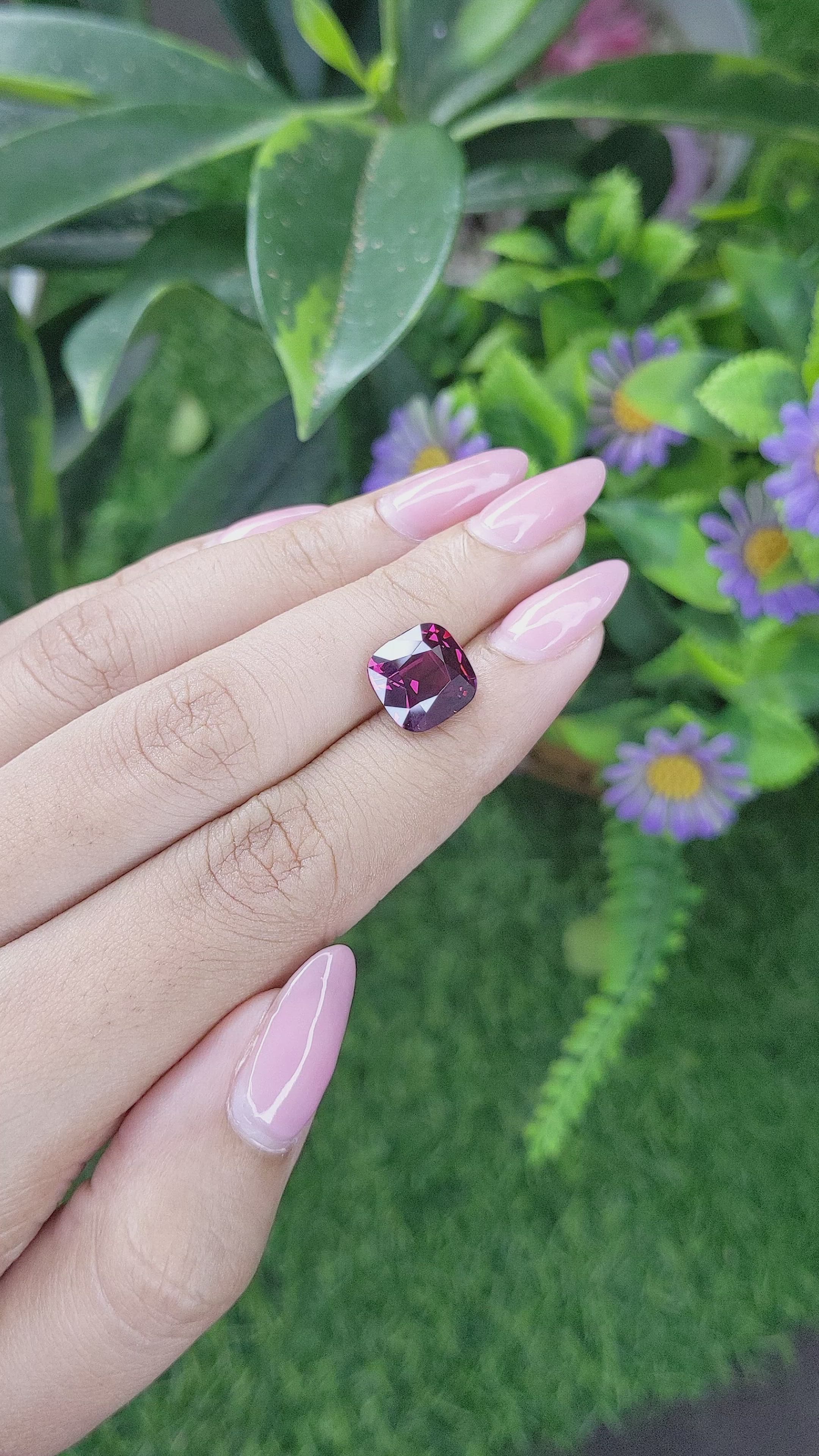 5.32 Ct. Purplish Pink Rhodolite Garnet from Tanzania Size Video