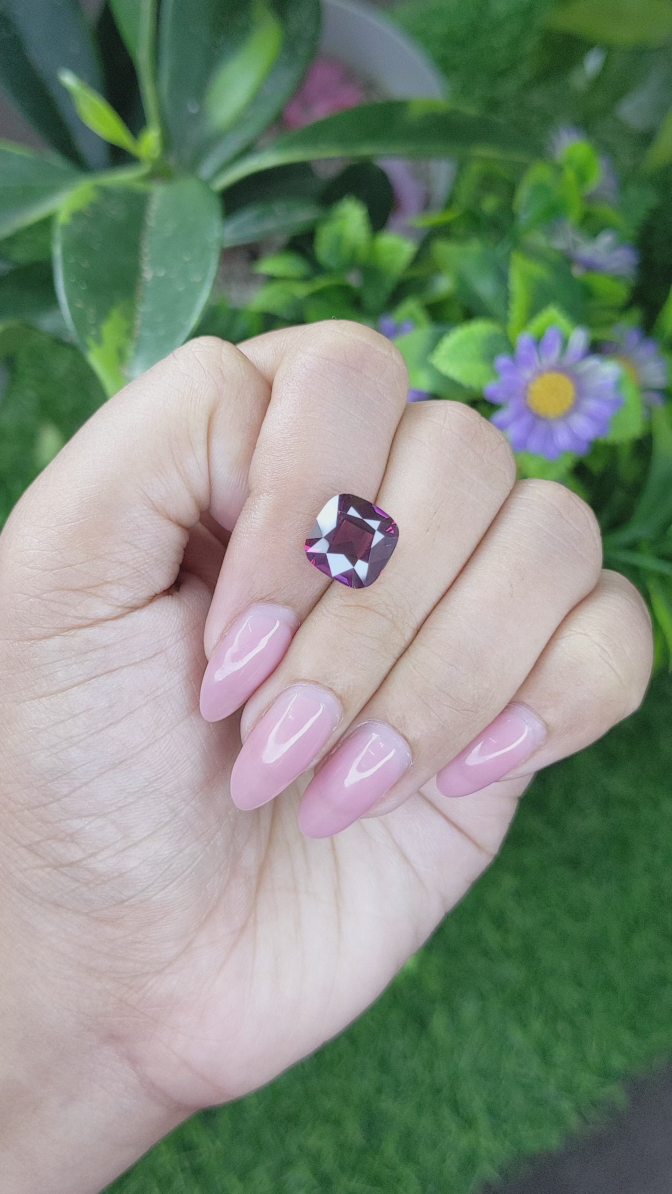 5.32 Ct. Purplish Pink Rhodolite Garnet from Tanzania Size Video
