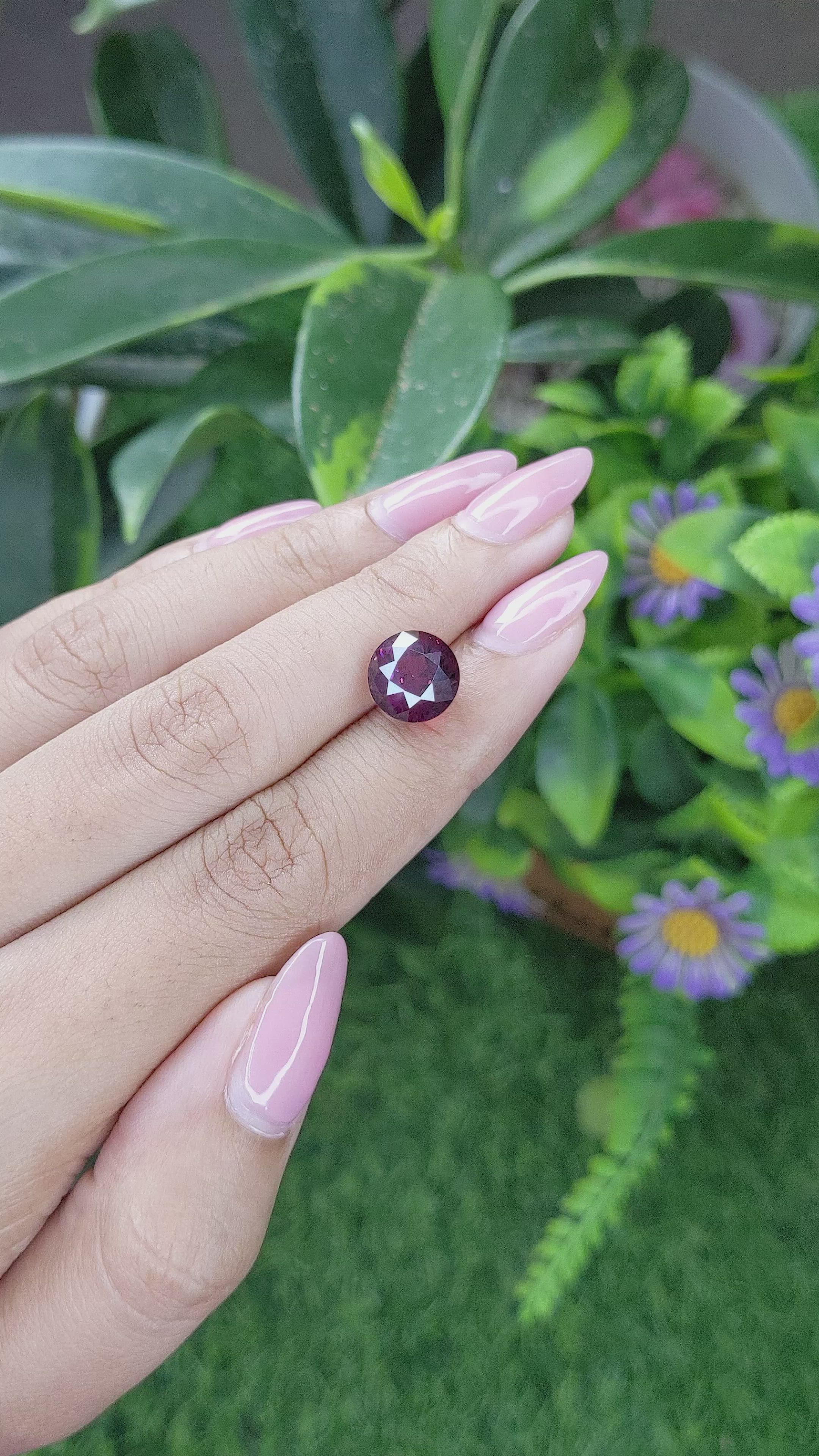 5.45 Ct. Purplish Pink Rhodolite Garnet from Ceylon (Sri Lanka) Size Video