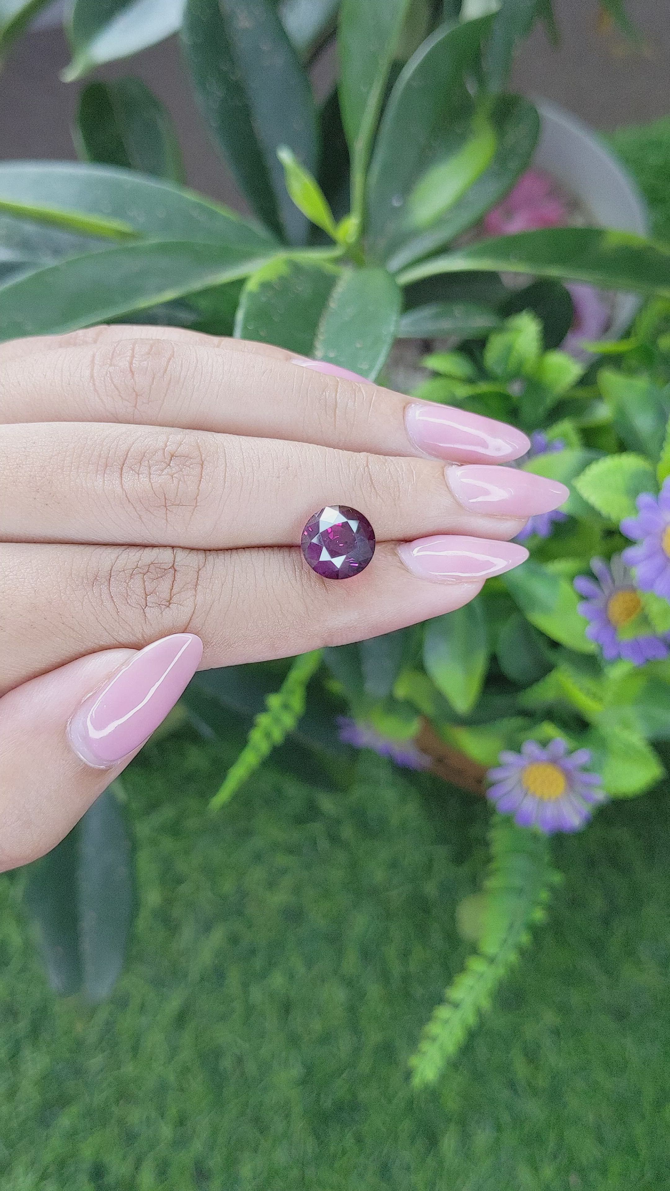 5.45 Ct. Purplish Pink Rhodolite Garnet from Ceylon (Sri Lanka) Size Video