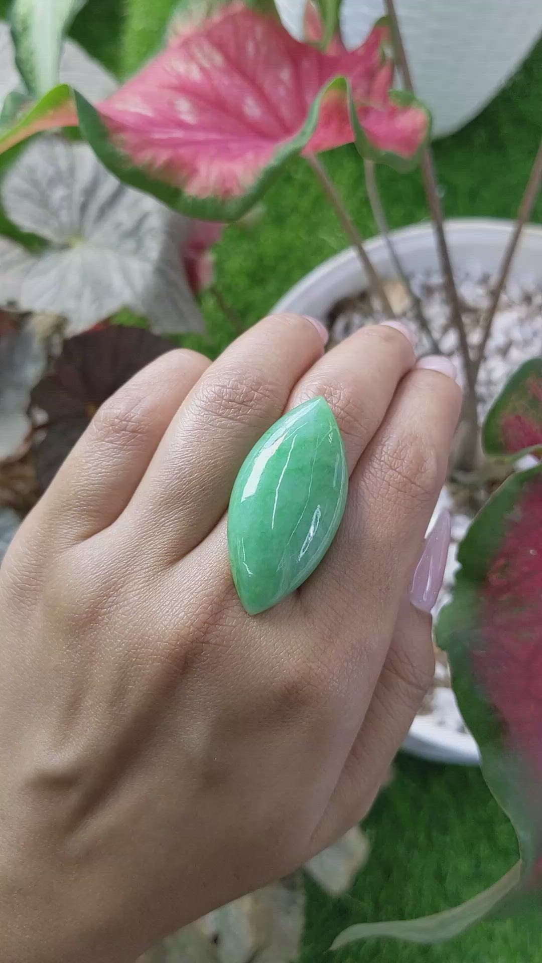 43.42 Ct. Cabochon Jade from Burma (Myanmar) Size Video