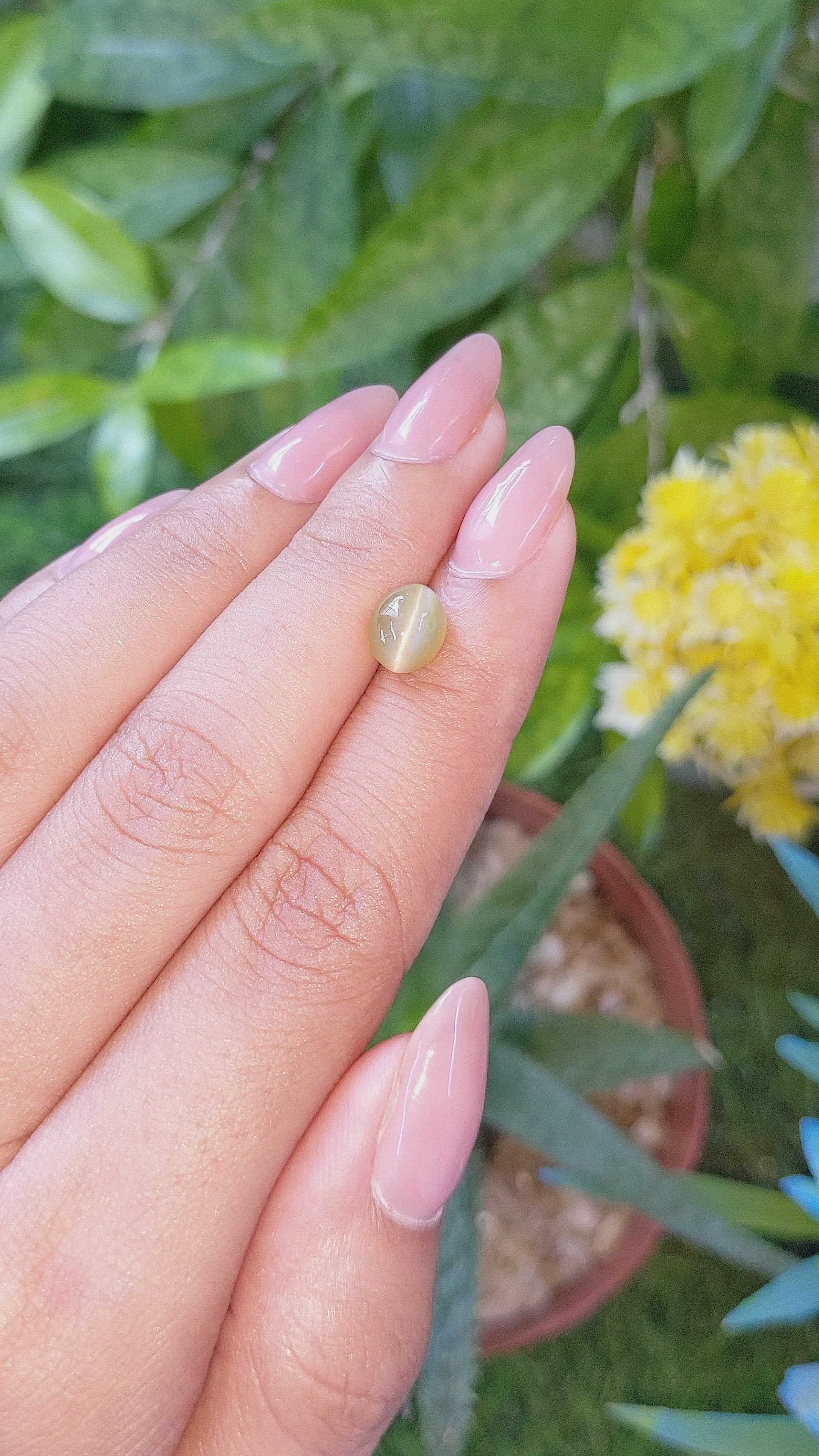 2.62 Ct. Greenish Yellow Cabochon Chrysoberyl from Tanzania Size Video