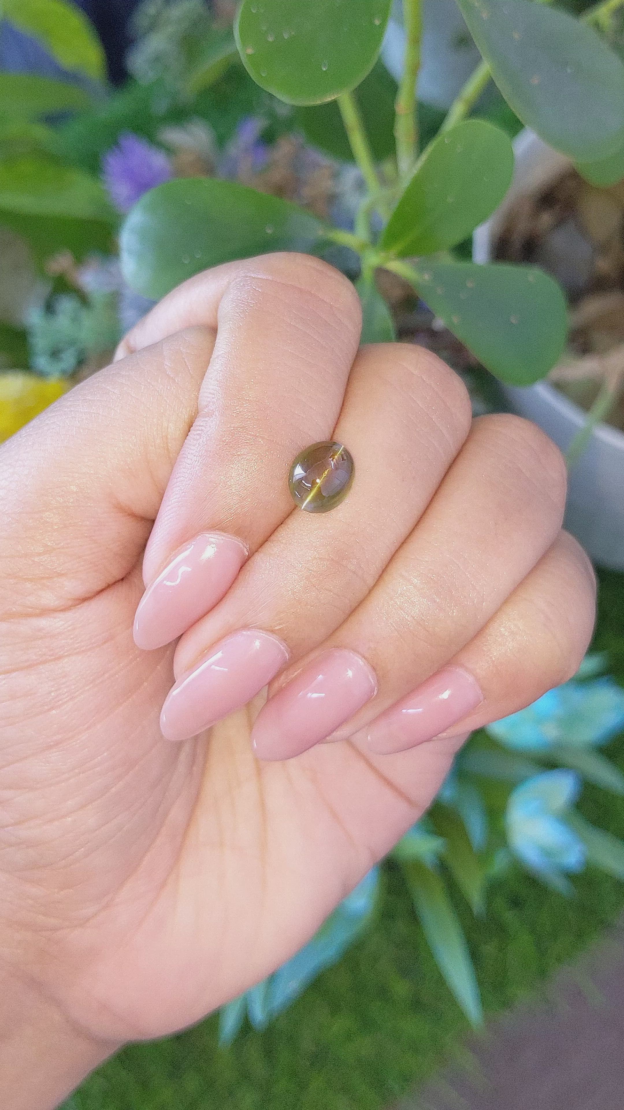 2.62 Ct. Brownish Green Cabochon Chrysoberyl from Madagascar Size Video