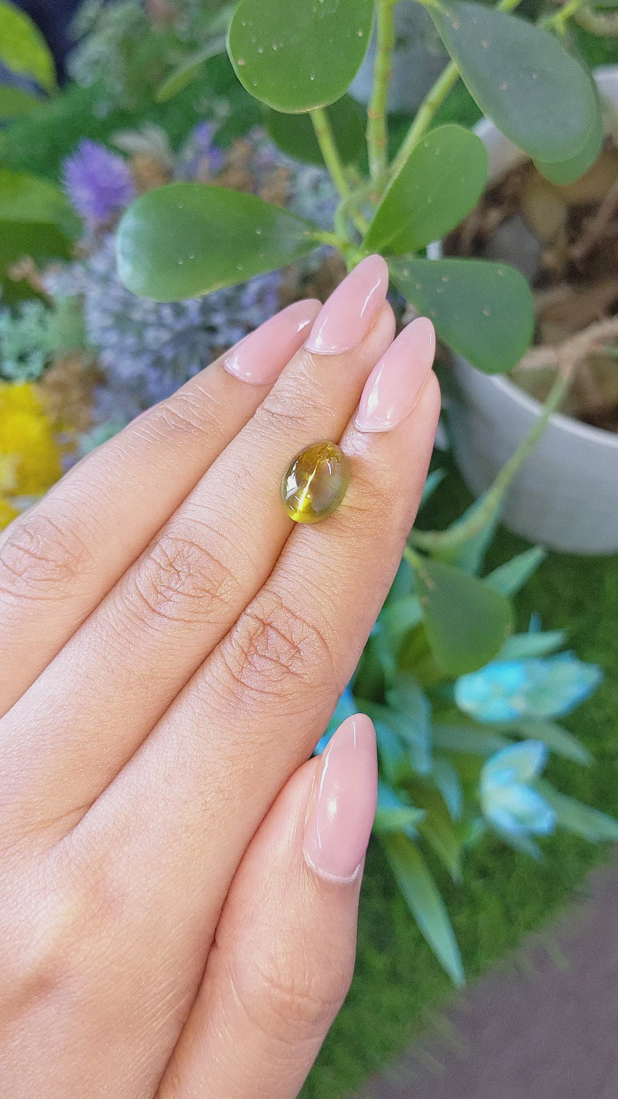 7.16 Ct. Yellowish Green Cabochon Chrysoberyl from Ceylon (Sri Lanka) Size Video