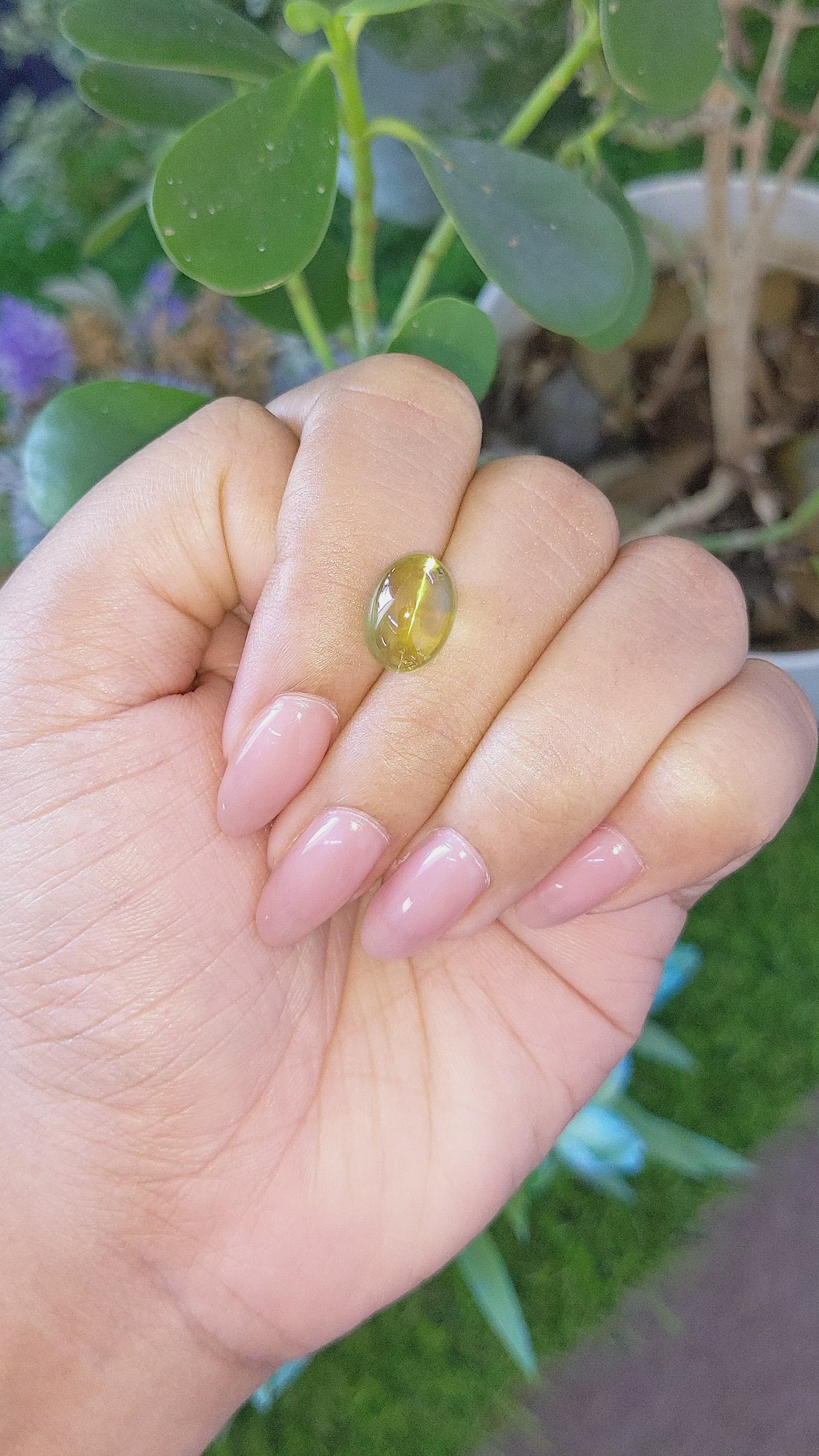 7.16 Ct. Yellowish Green Cabochon Chrysoberyl from Ceylon (Sri Lanka) Size Video