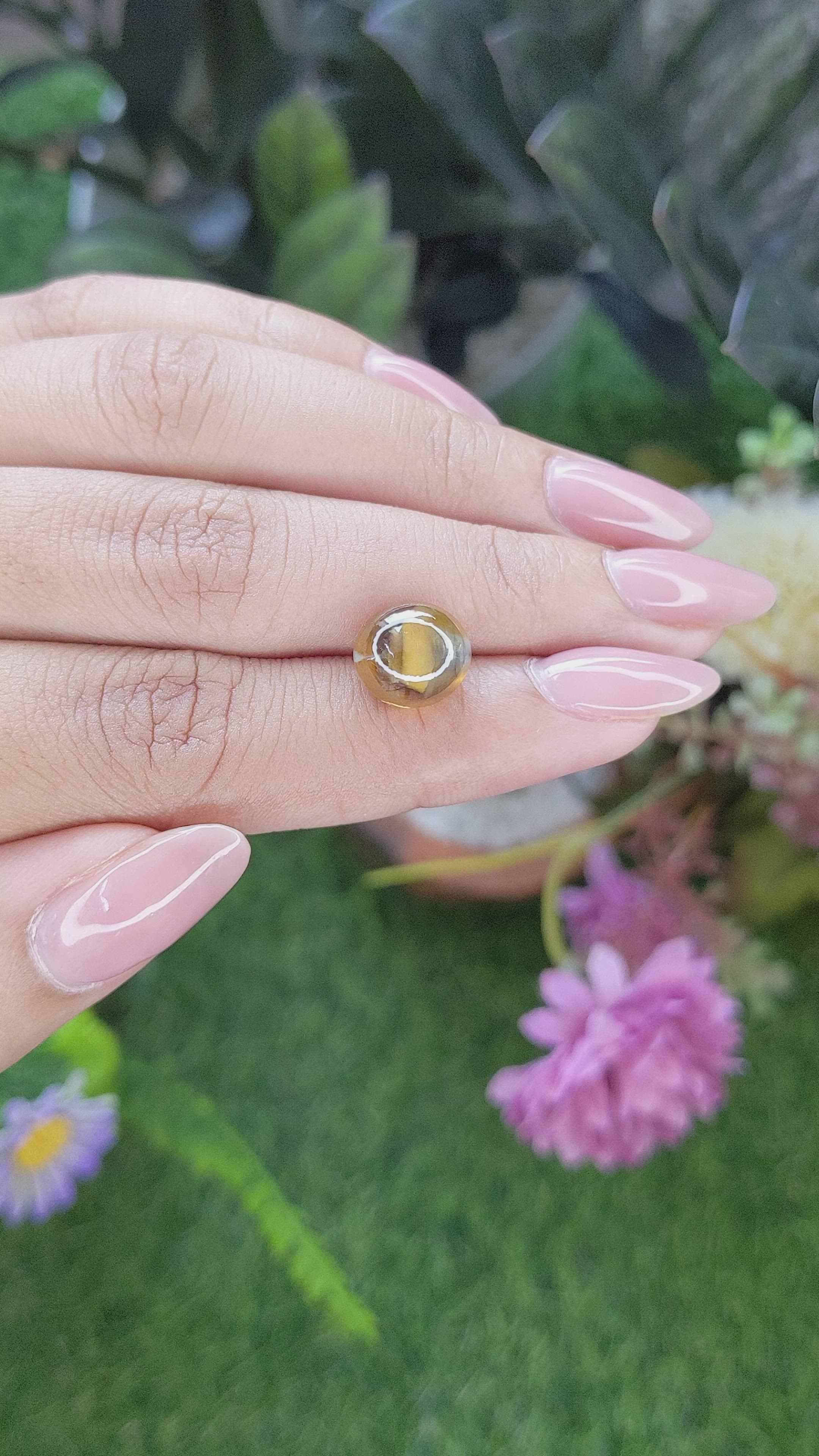 6.77 Ct. Brown Cabochon Chrysoberyl from Ceylon (Sri Lanka) Size Video