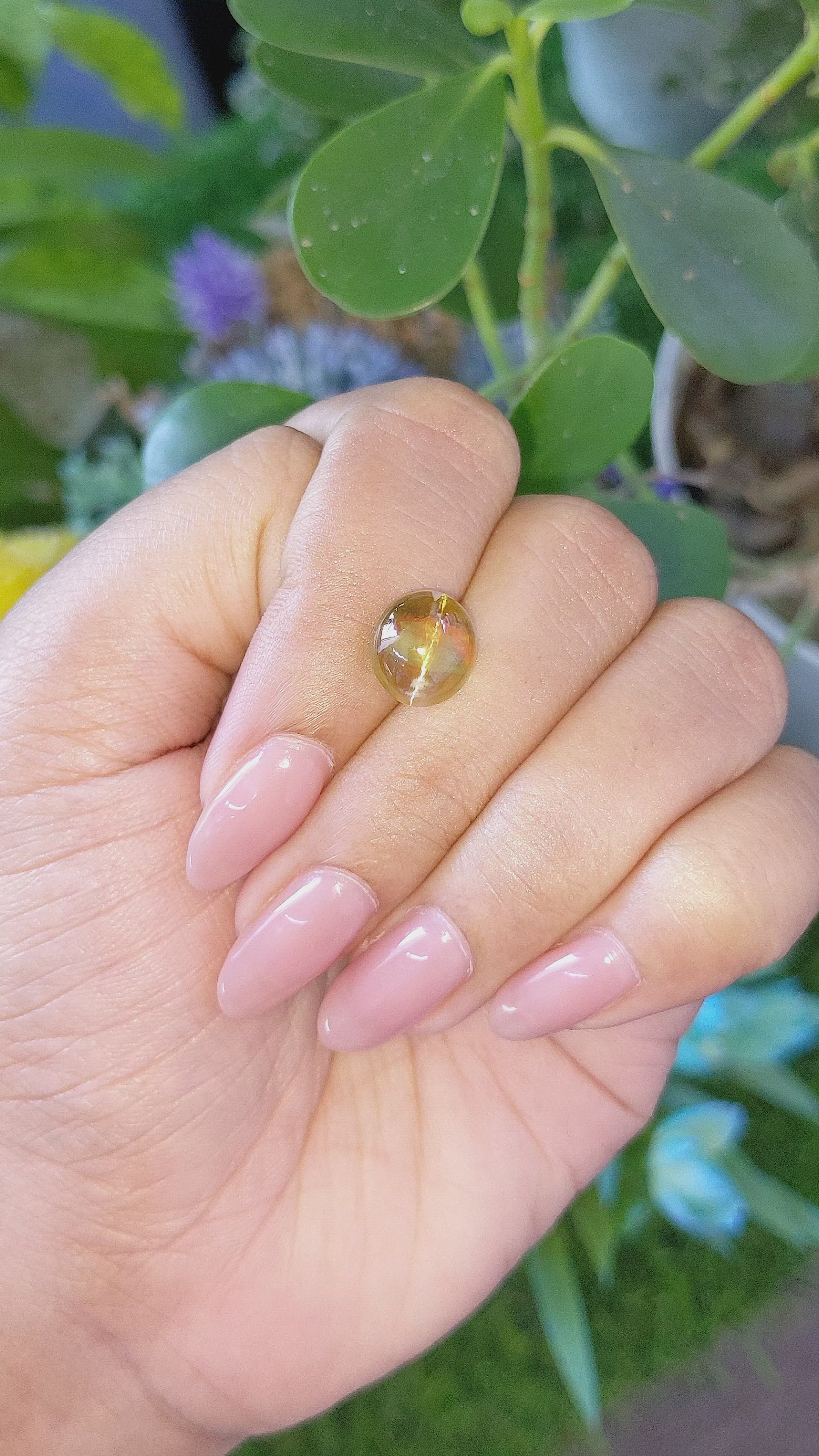 6.77 Ct. Brown Cabochon Chrysoberyl from Ceylon (Sri Lanka) Size Video