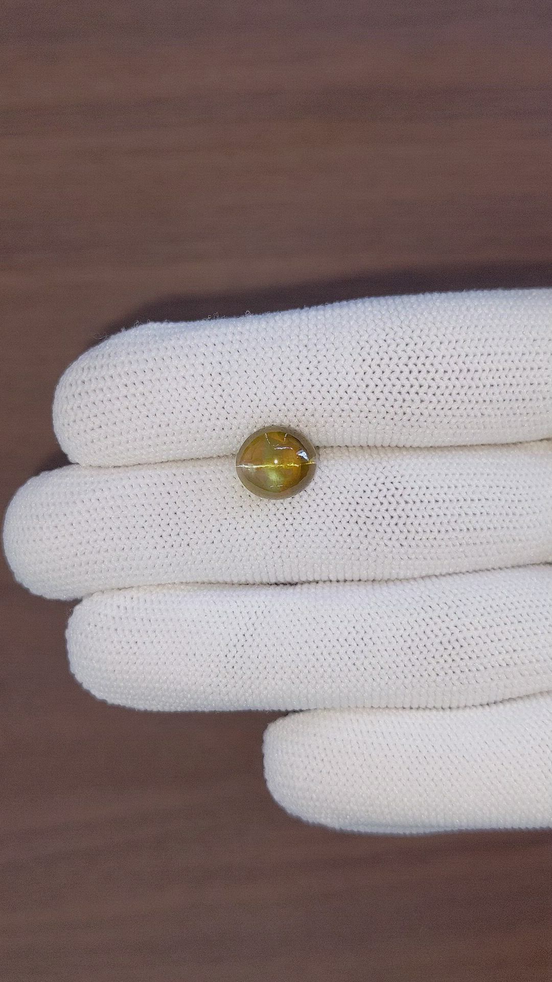 6.77 Ct. Brown Cabochon Chrysoberyl from Ceylon (Sri Lanka) Size Video