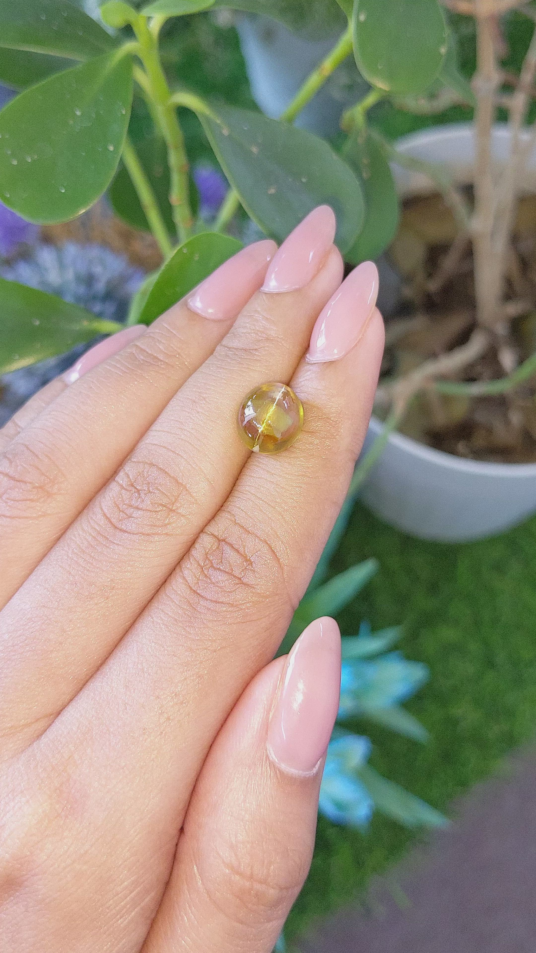 6.77 Ct. Brown Cabochon Chrysoberyl from Ceylon (Sri Lanka) Size Video