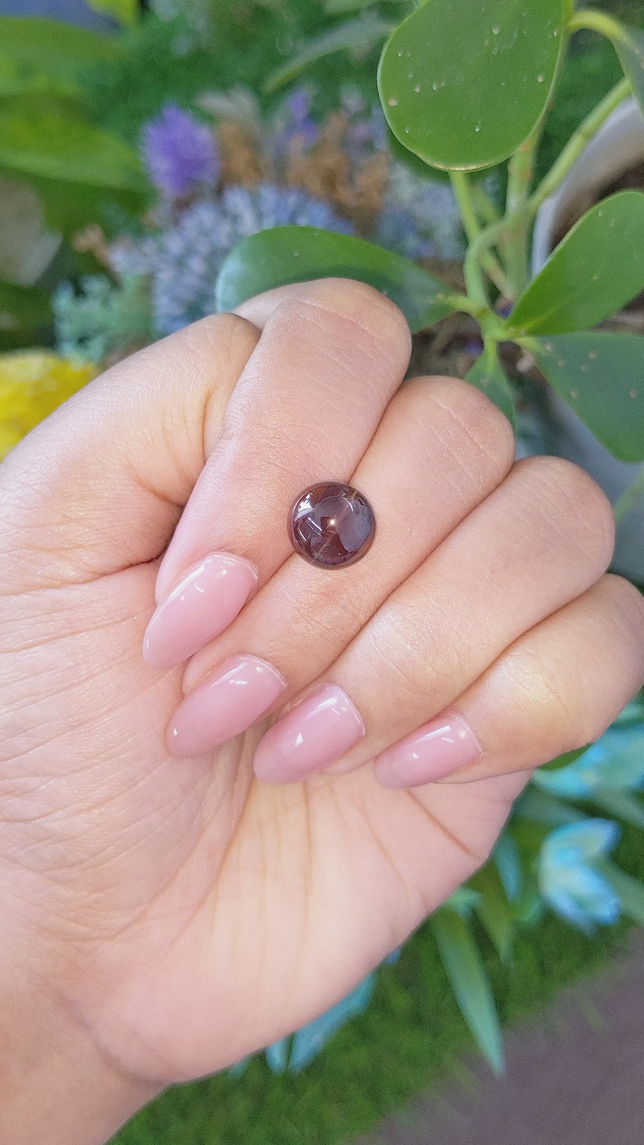 6.64 Ct. Brown Cabochon Chrysoberyl from Ceylon (Sri Lanka) Size Video