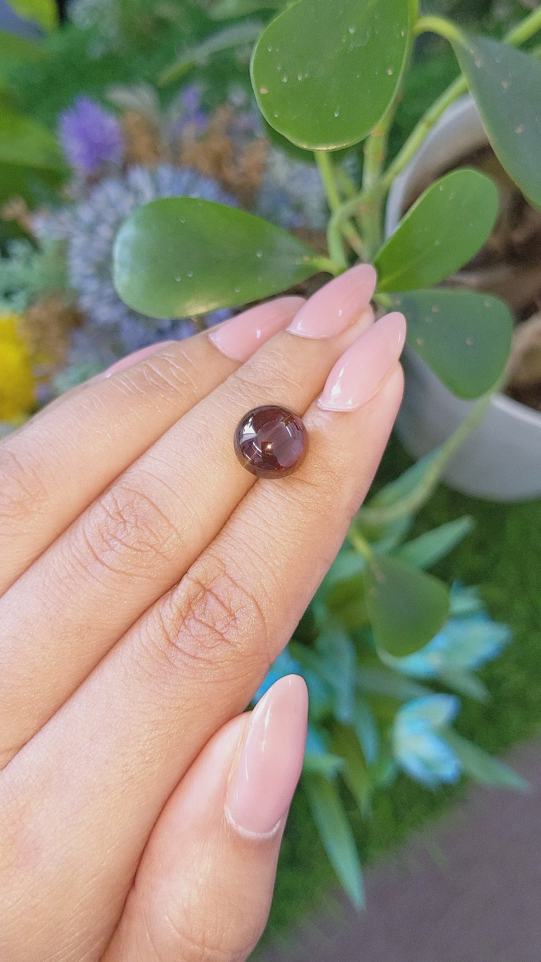 6.64 Ct. Brown Cabochon Chrysoberyl from Ceylon (Sri Lanka) Size Video