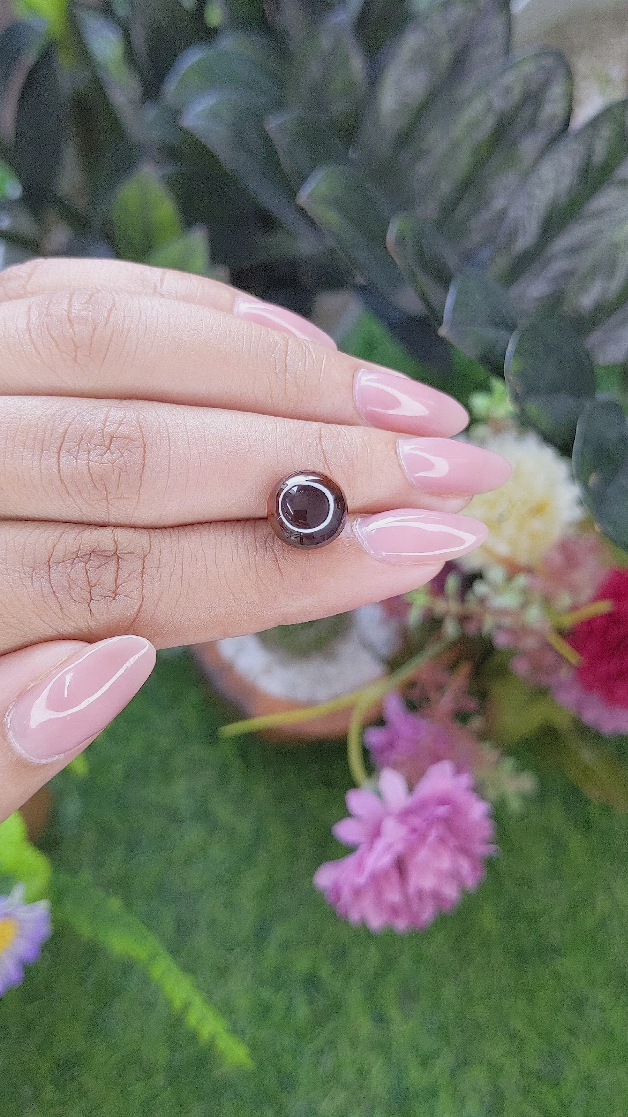 6.64 Ct. Brown Cabochon Chrysoberyl from Ceylon (Sri Lanka) Size Video