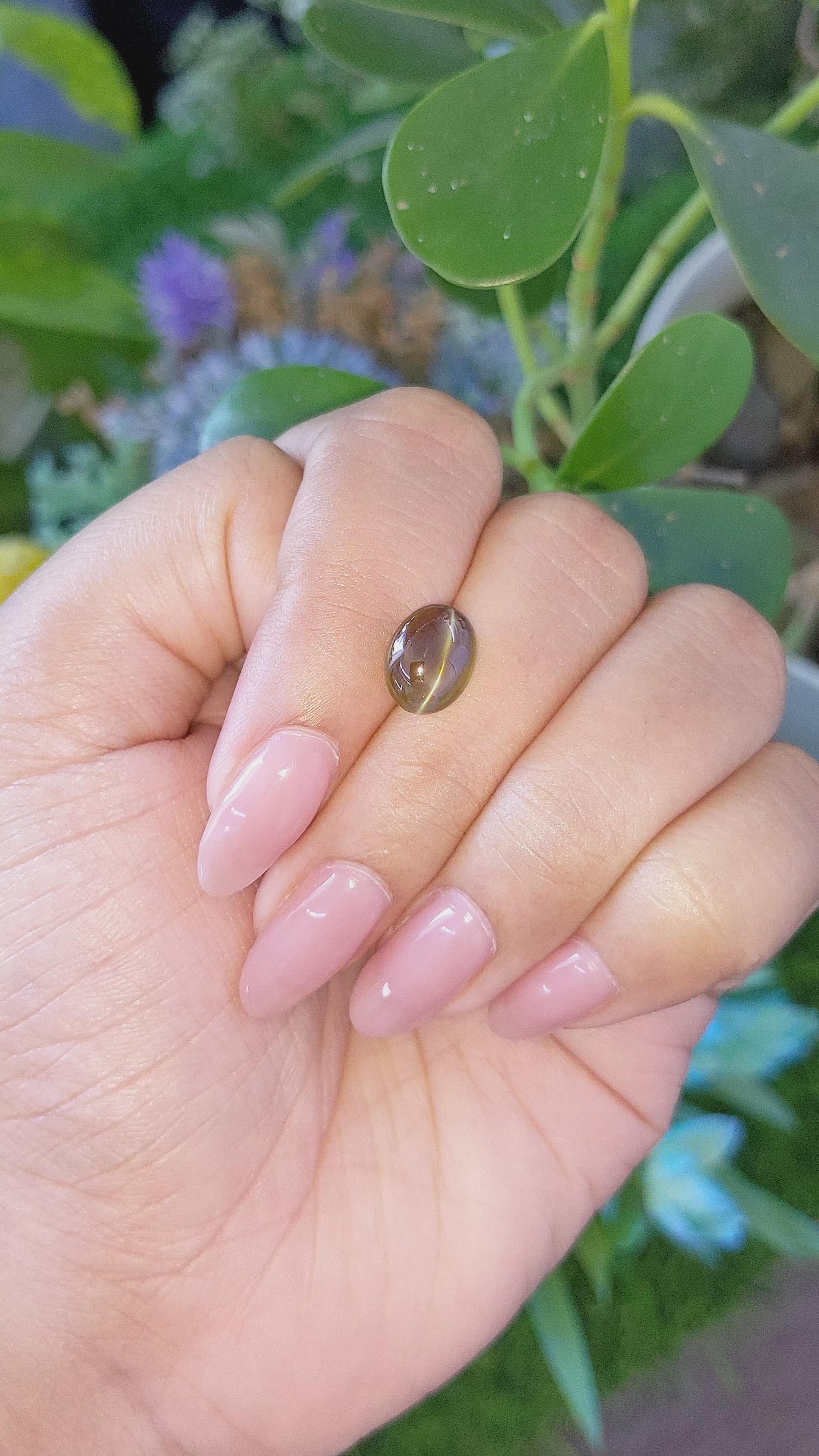 4.60 Ct. Greenish Brown Cabochon Chrysoberyl from Madagascar Size Video