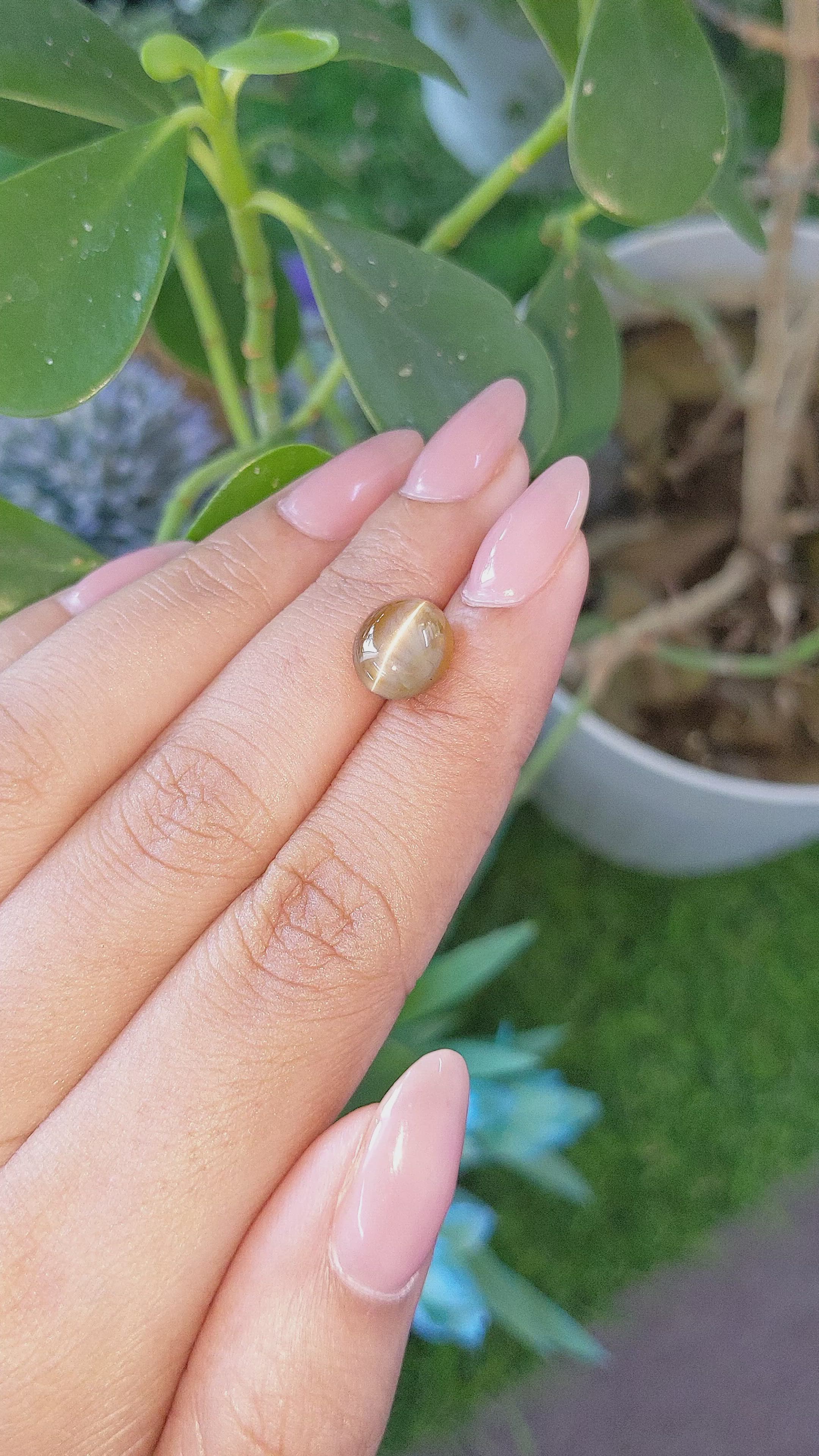 4.51 Ct. Brown Cabochon Chrysoberyl from Tanzania Size Video