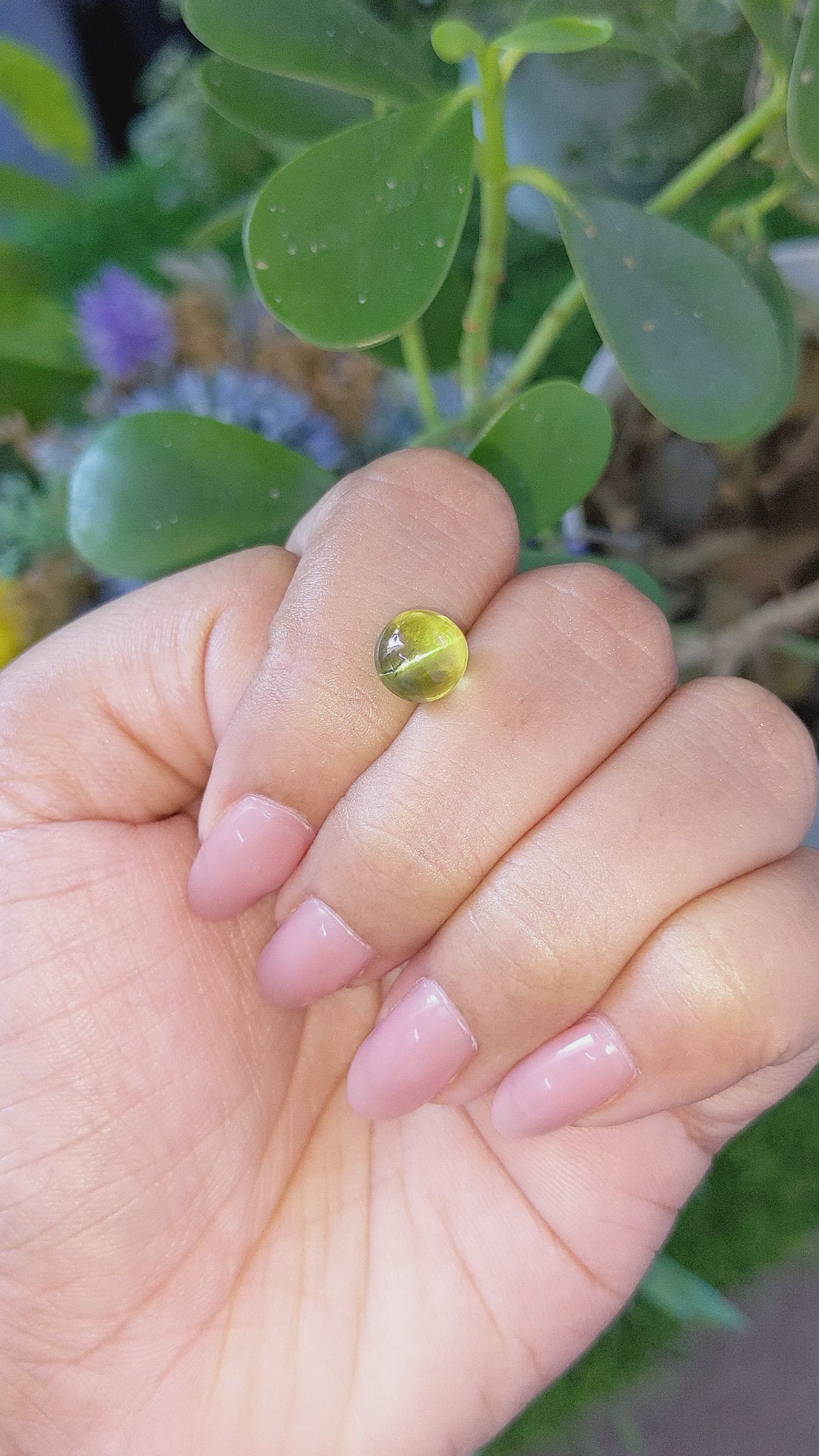 4.32 Ct. Yellowish Green Cabochon Chrysoberyl from Ceylon (Sri Lanka) Size Video