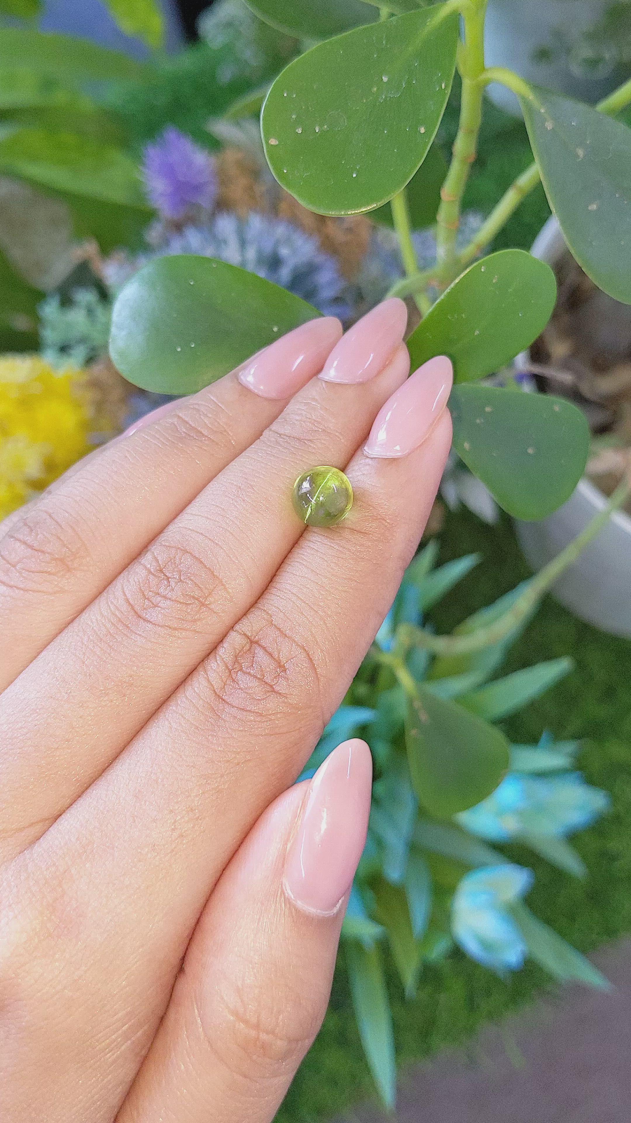 4.32 Ct. Yellowish Green Cabochon Chrysoberyl from Ceylon (Sri Lanka) Size Video