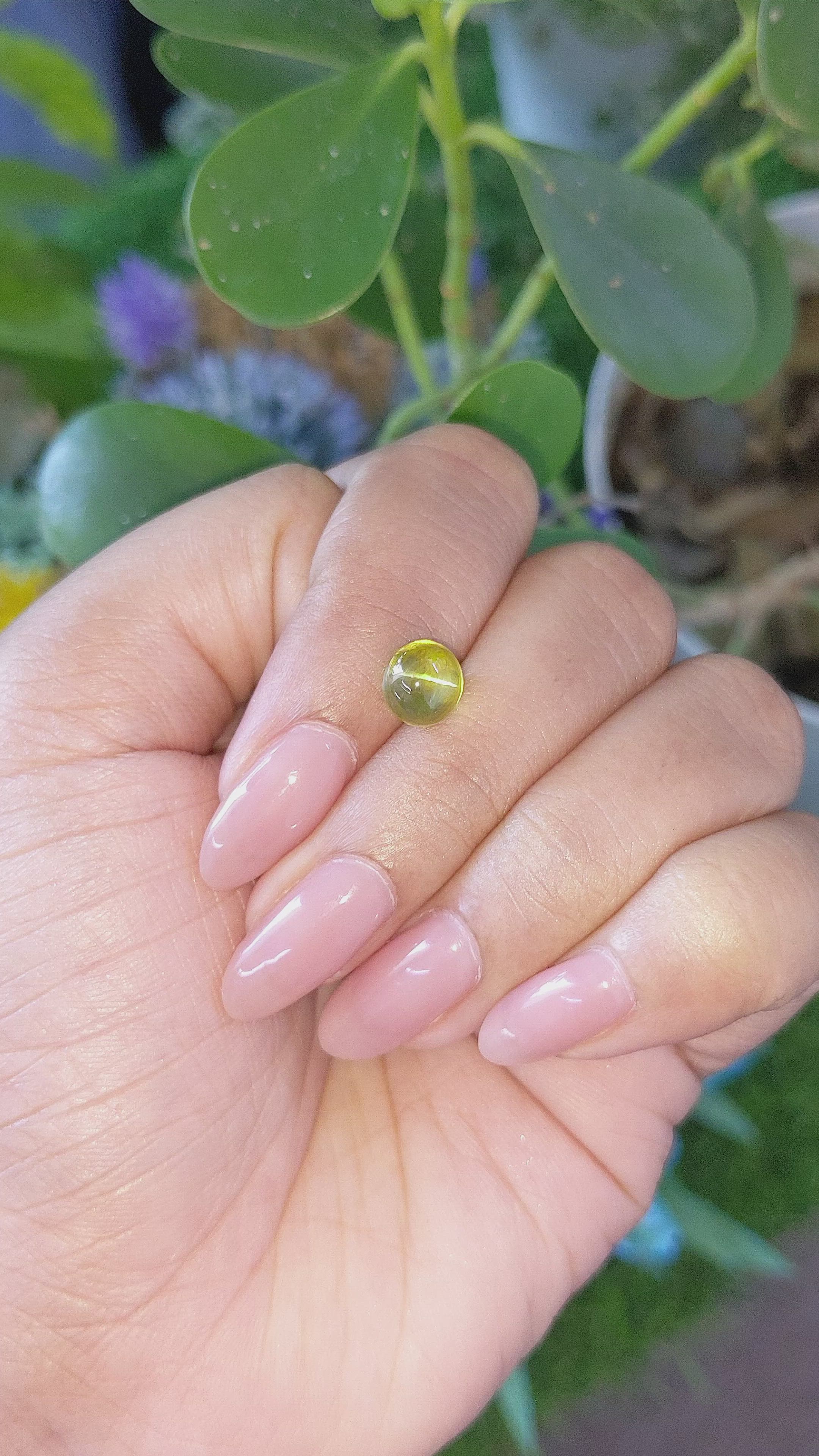 3.31 Ct. Yellowish Green Cabochon Chrysoberyl from Madagascar Size Video