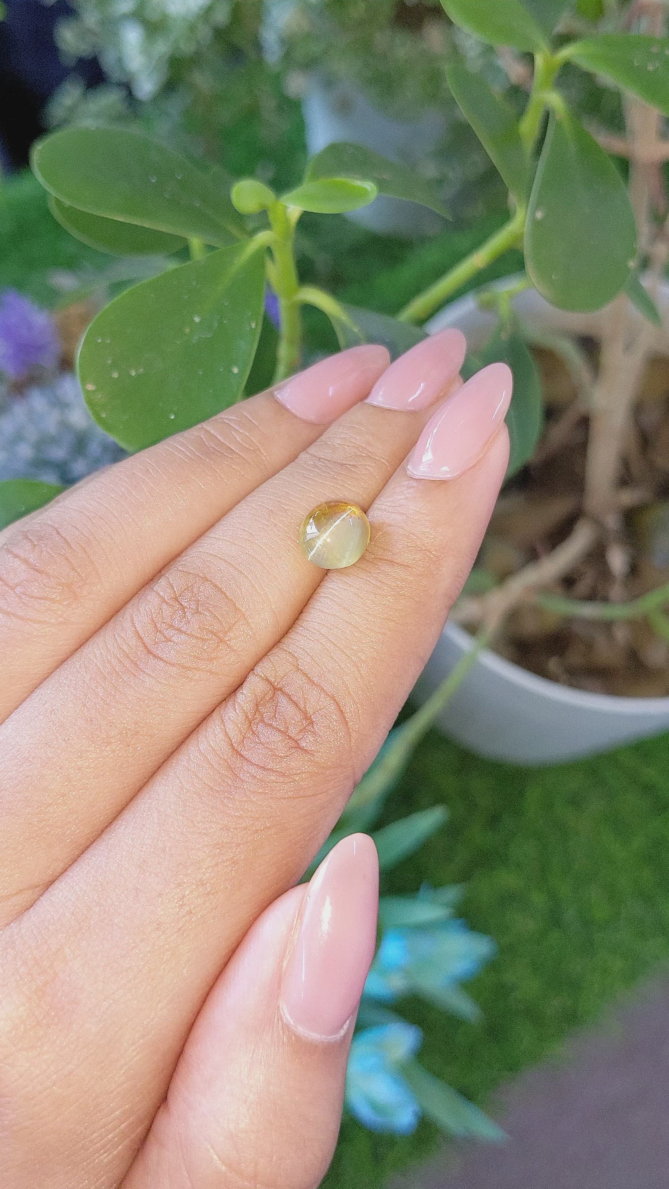 3.02 Ct. Greenish Yellow Cabochon Chrysoberyl from Tanzania Size Video