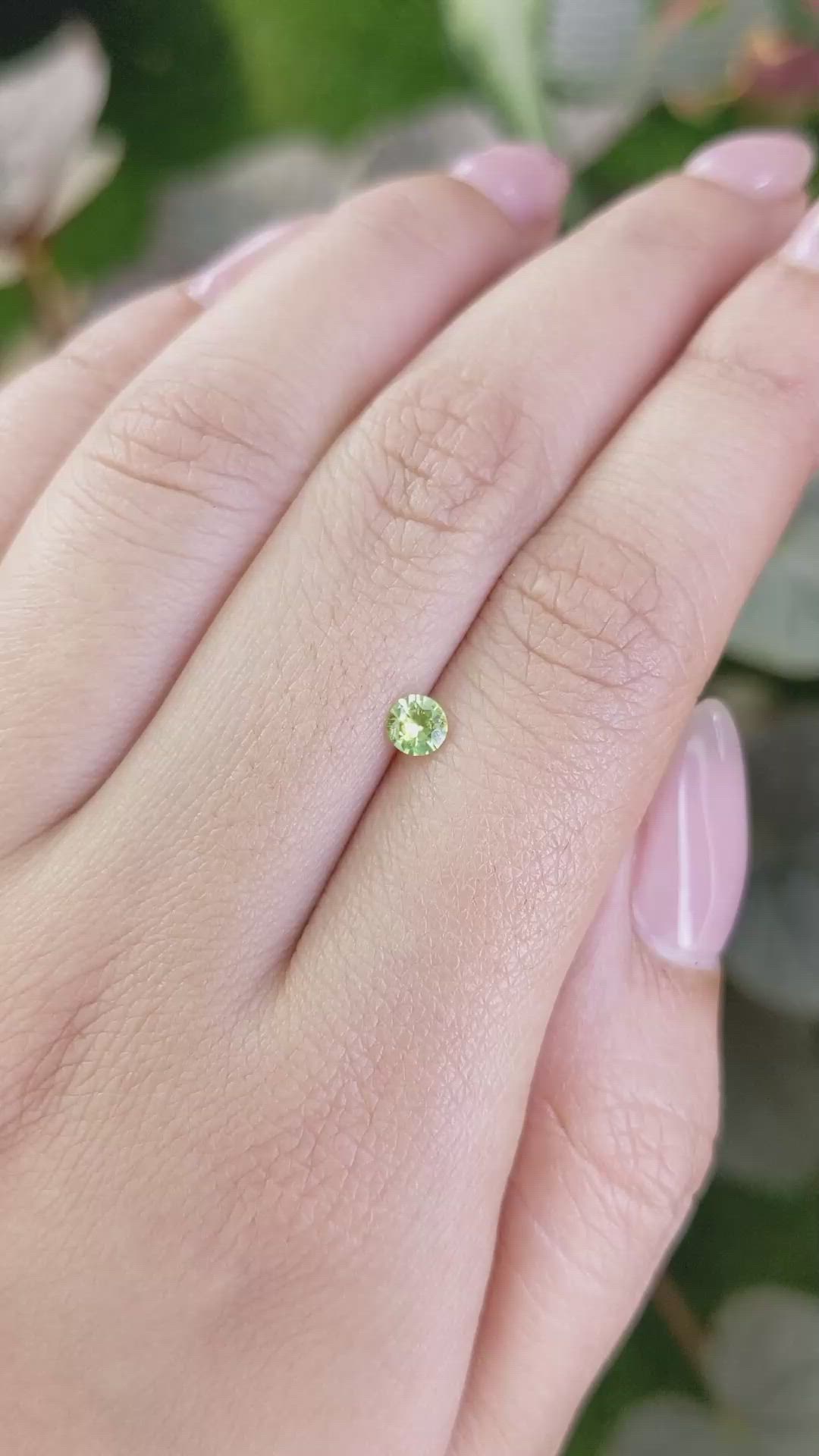 0.26 Ct. Yellowish Green Chrysoberyl from Ceylon (Sri Lanka) Size Video