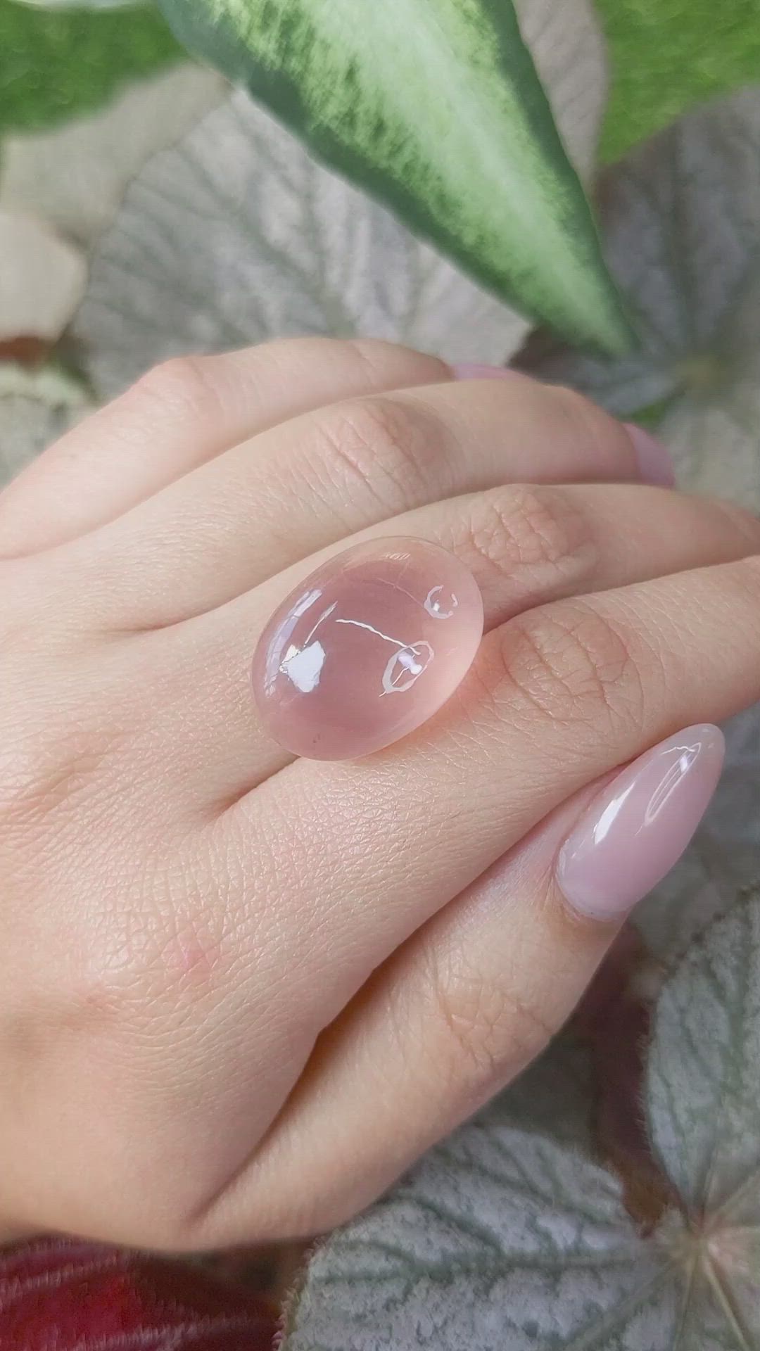 31.32 Ct. Pink Star Rose Quartz from Ceylon (Sri Lanka) Size Video