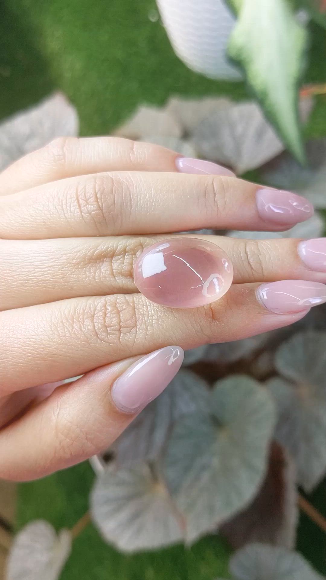 31.32 Ct. Pink Star Rose Quartz from Ceylon (Sri Lanka) Size Video