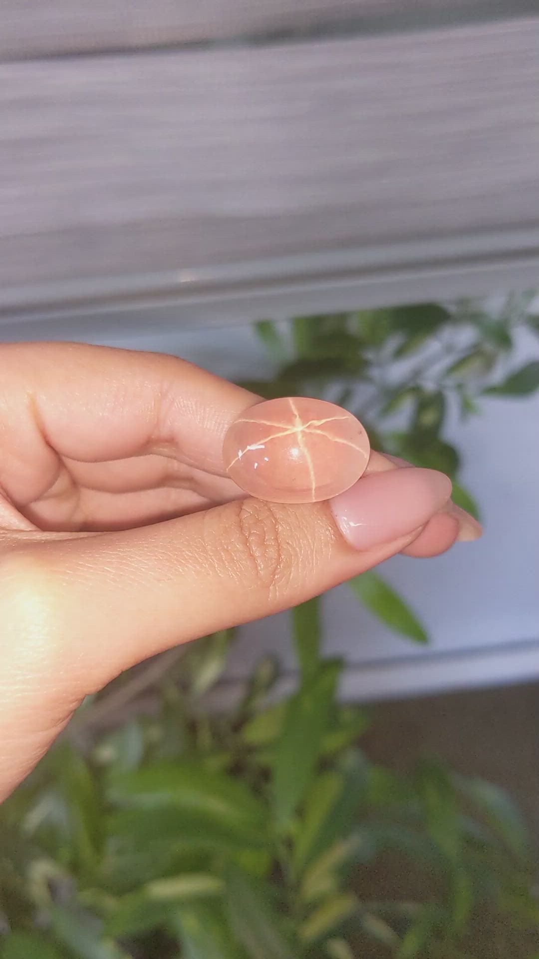 31.32 Ct. Pink Star Rose Quartz from Ceylon (Sri Lanka) Size Video