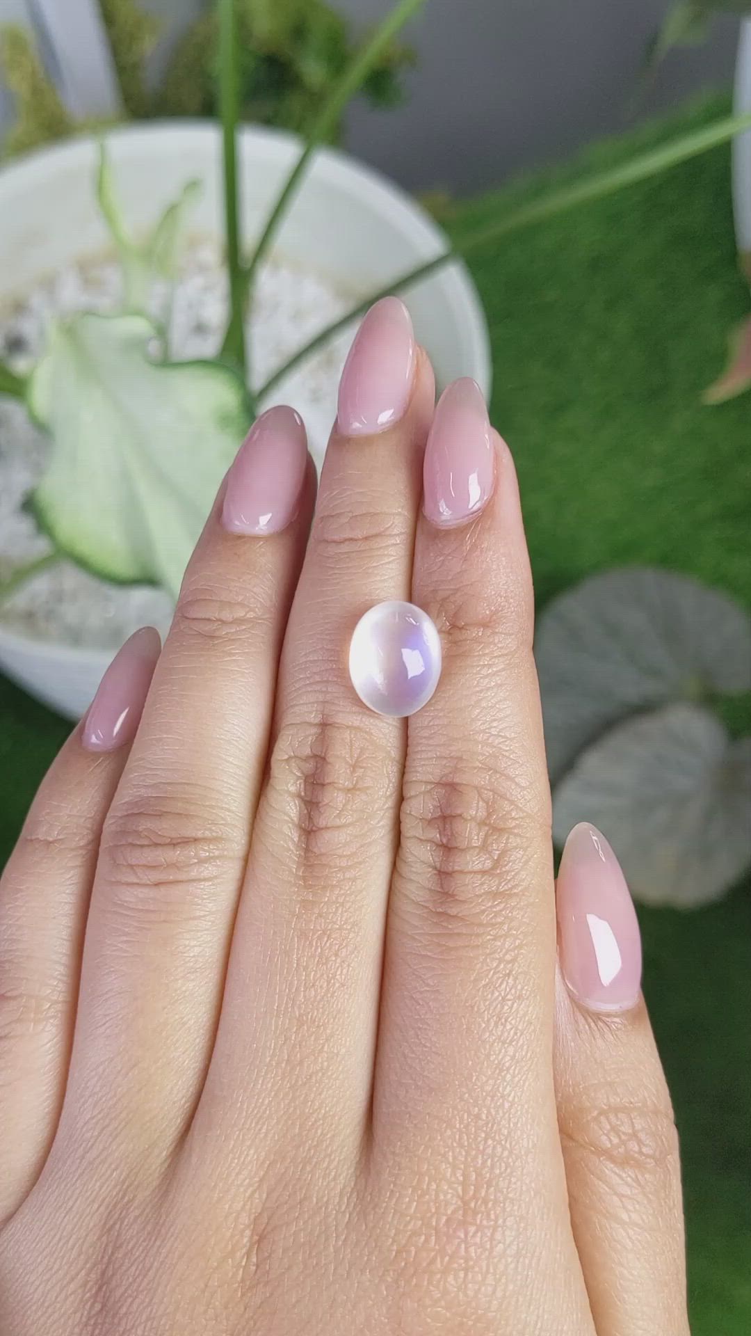 5.74 Ct. Cabochon Moonstone from Ceylon (Sri Lanka) Size Video