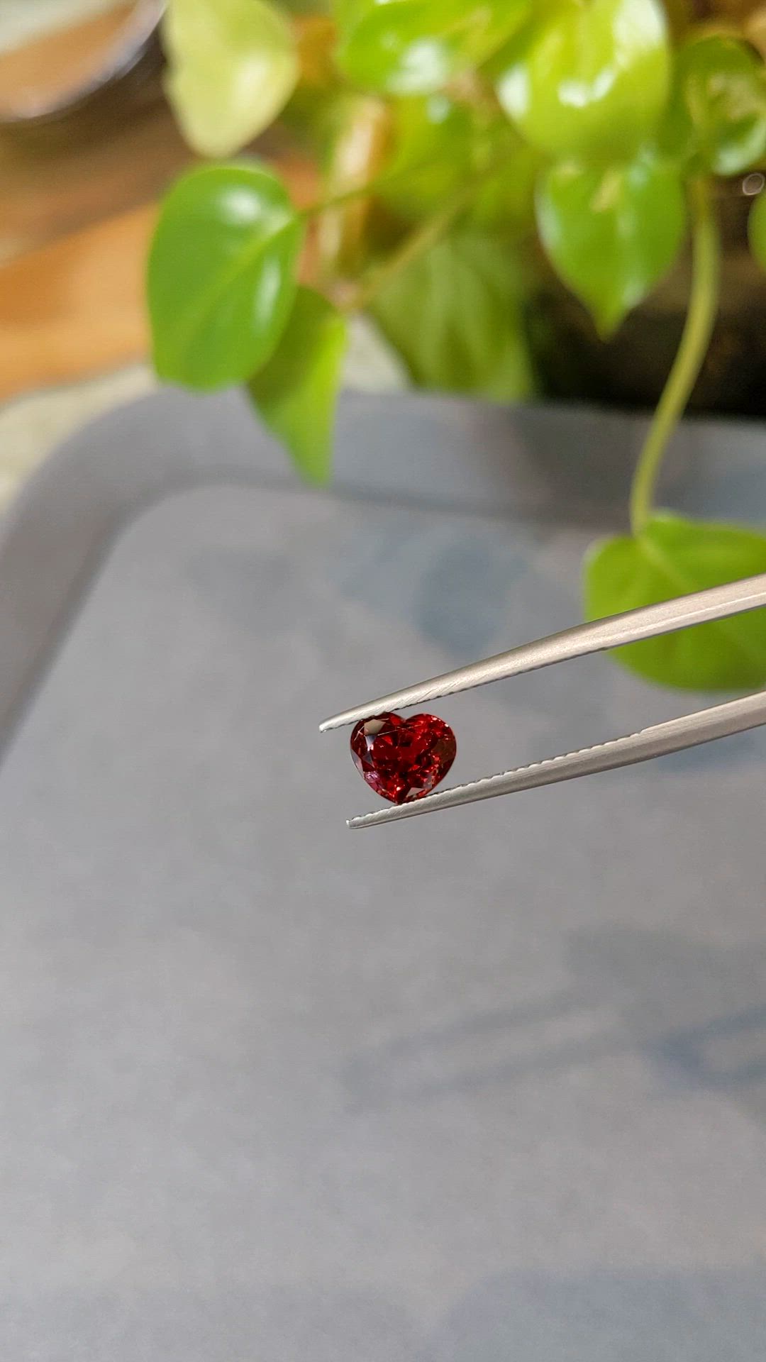 1.57 Ct. Red Spinel from Burma (Myanmar) Size Video